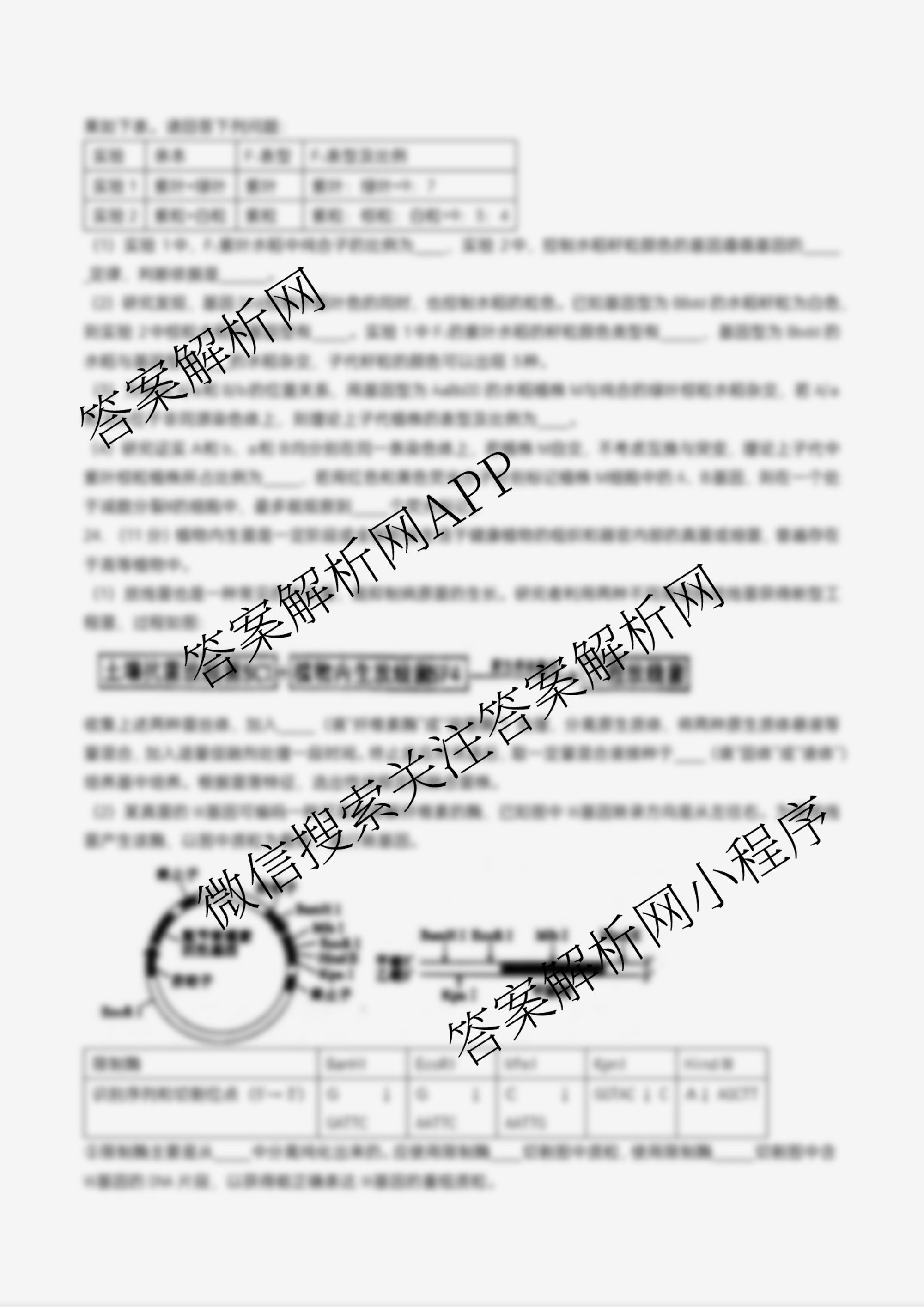 江苏省扬州市高邮市2025-2026学年第一学期高三10月学情调研测试2025.10试卷及答案汇总(含生物、地理、政治等9份)生物试题 江苏省扬州市高邮市2025-2026学年第一学期高三10月学情调研测试2025.10试卷及答案汇总(含生物、地理、政治等9份)生物试题