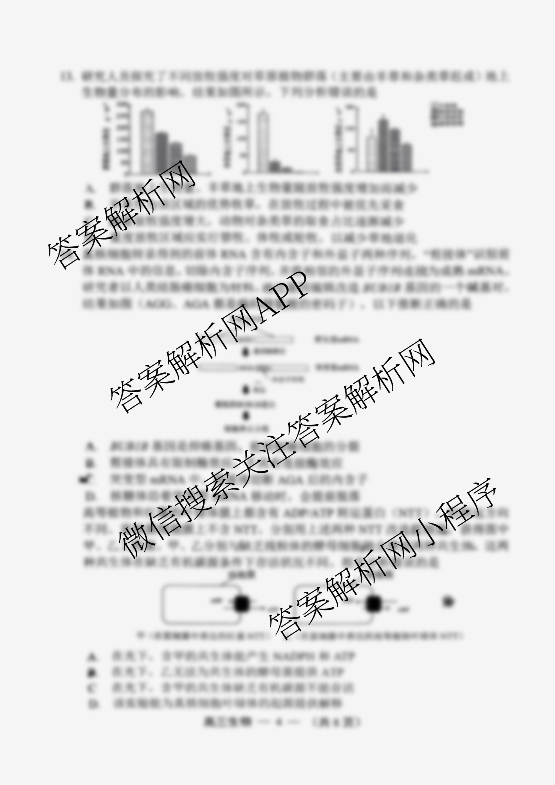 2025-2026学年福州市高三年级第一次质量检测各科答案及试卷（10科全）生物试题