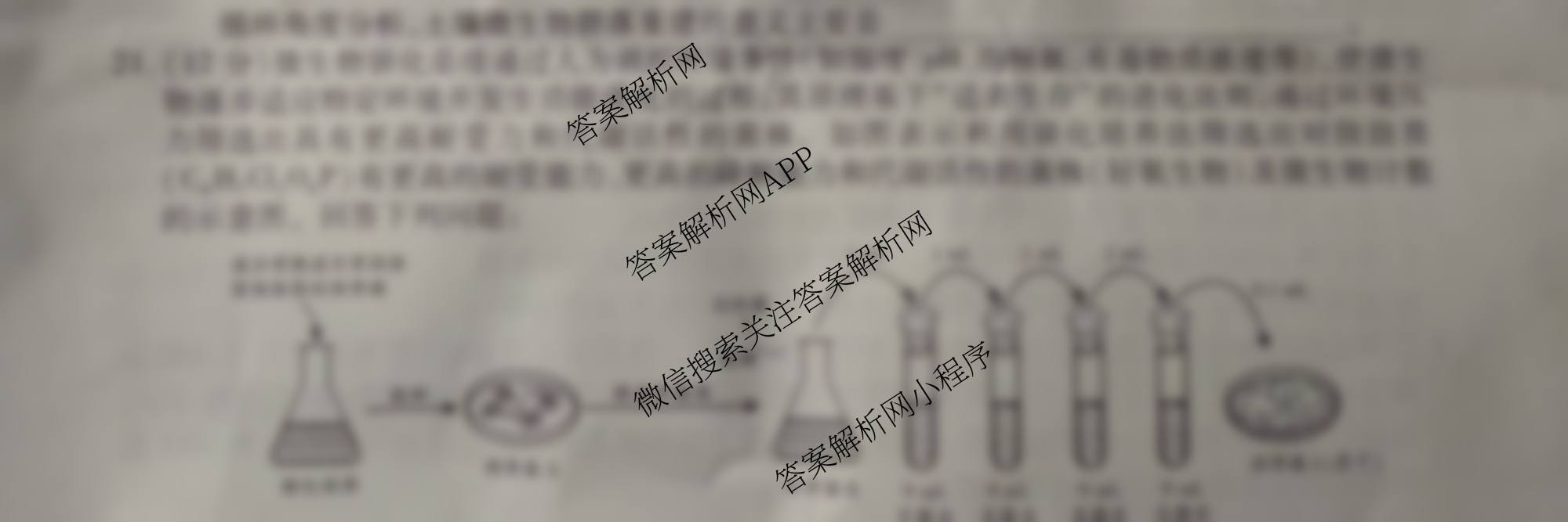 2026届智慧上进名校学术联盟高考模拟信息卷&冲刺卷&预测卷(一)1各科答案及试卷（含化学(GD-26-1) 物理(AH) 生物(II)等）生物试题