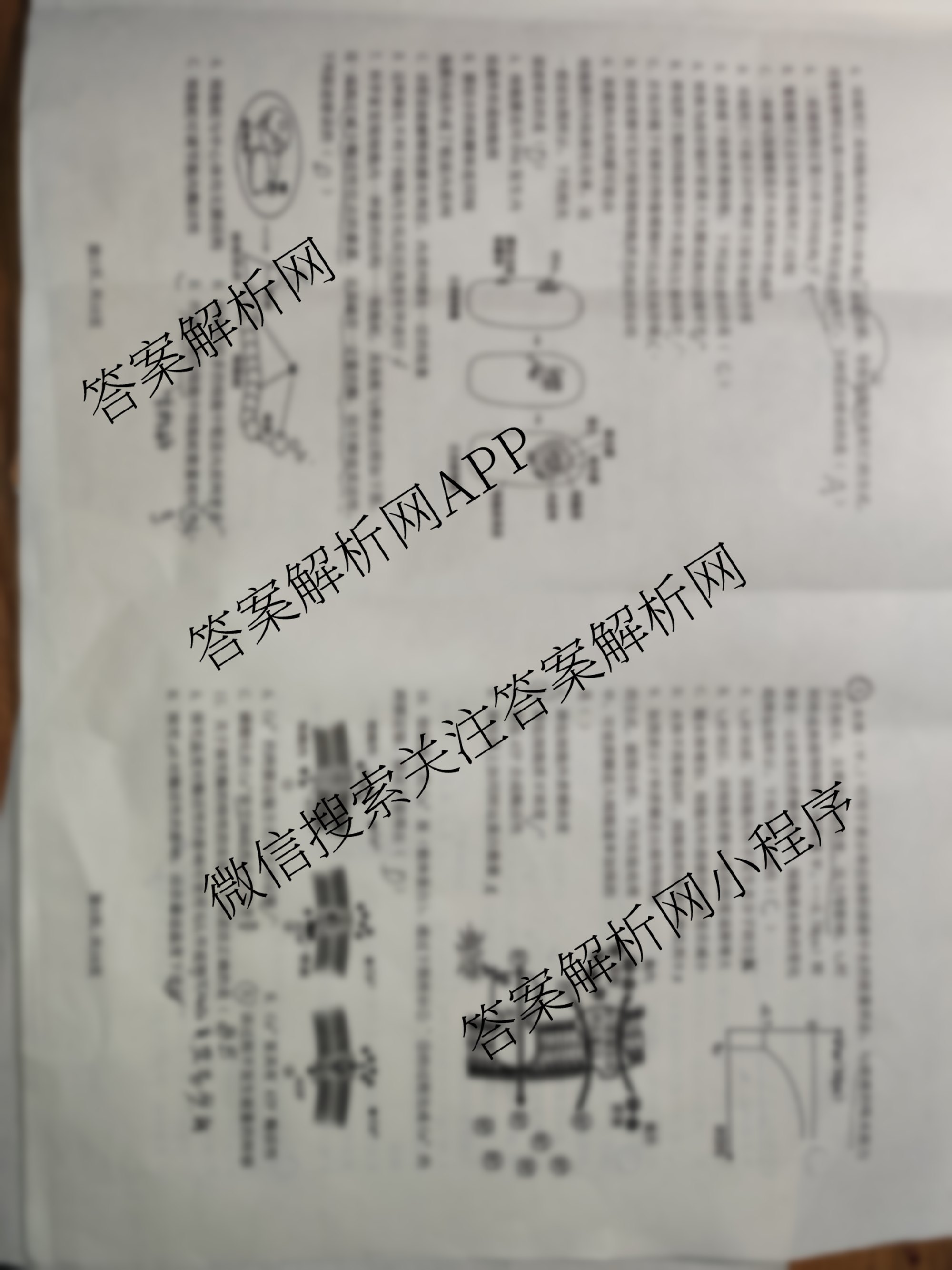 安徽省2024-2025学年高一第二学期蚌埠市A层高中第四次联考各科答案及试卷（9科全）生物试题