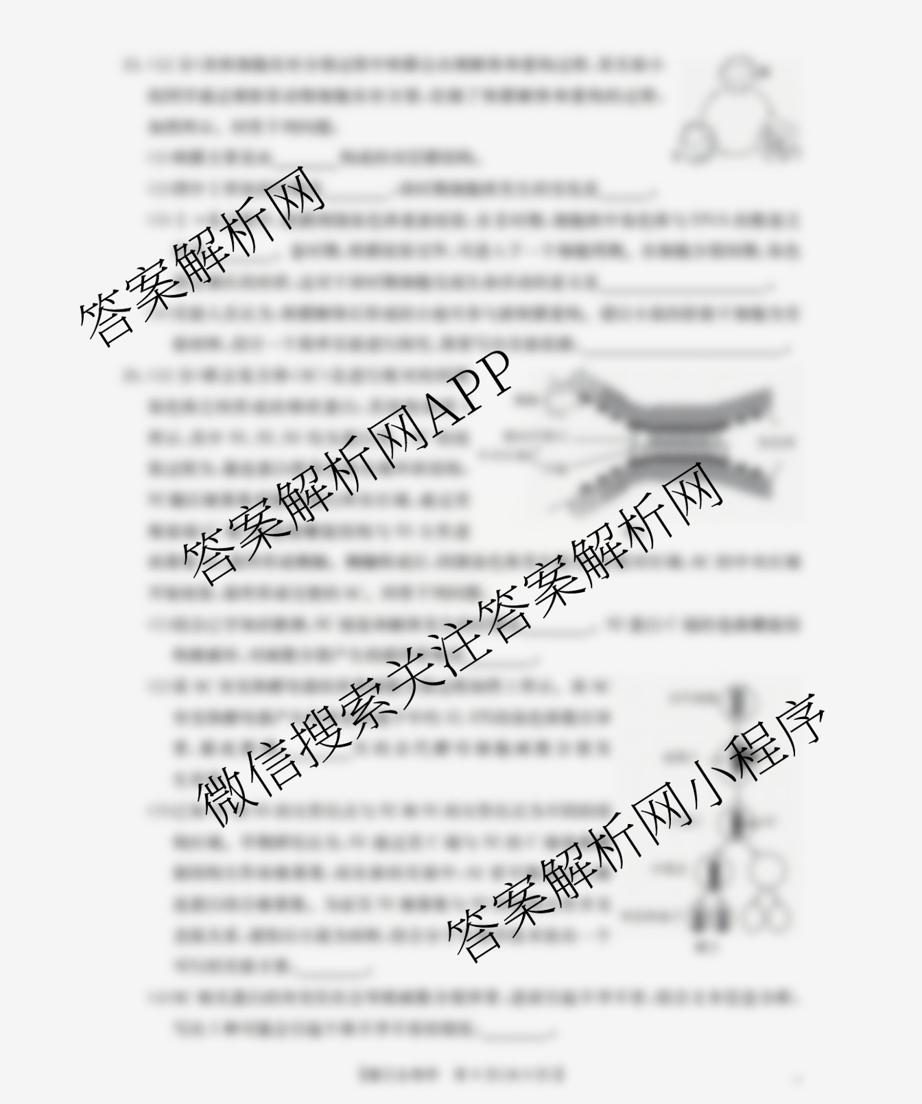 福建省2026届高三10月联考(10.27): 含政治、化学、地理试卷解析生物试题 福建省2026届高三10月联考(10.27): 含政治、化学、地理试卷解析生物试题