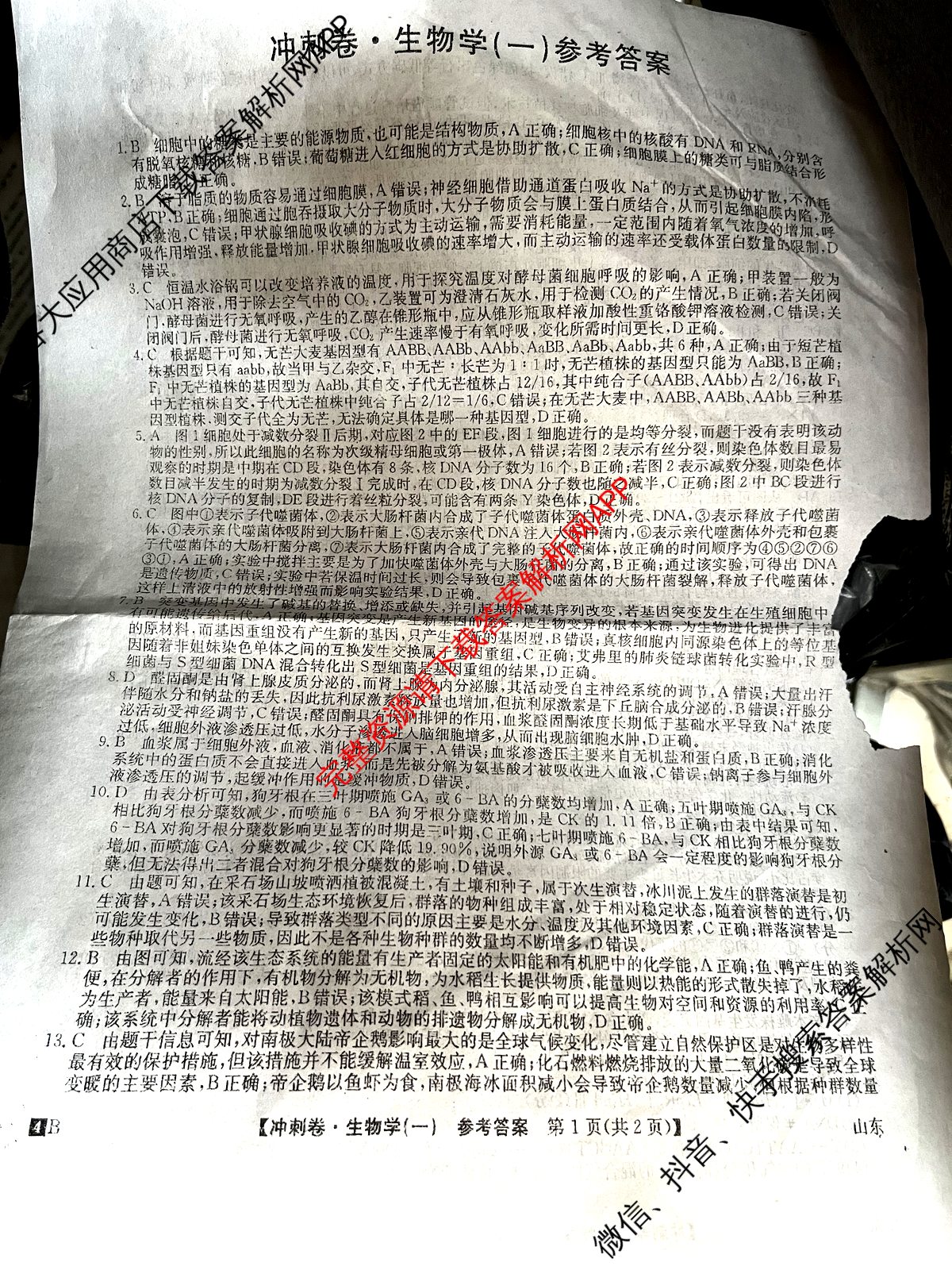 2024年山东省普通高中学业水平等级考试冲刺压轴卷(一)1生物(山东)答案