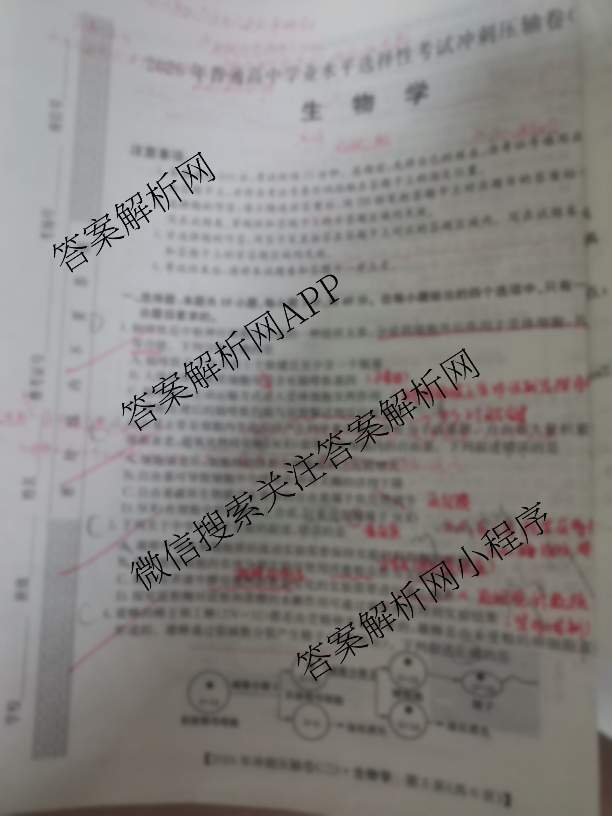 2026年全国高考冲刺压轴卷(二)2（含地理(B1)、政治(四川)、物理(河南)等）生物试题