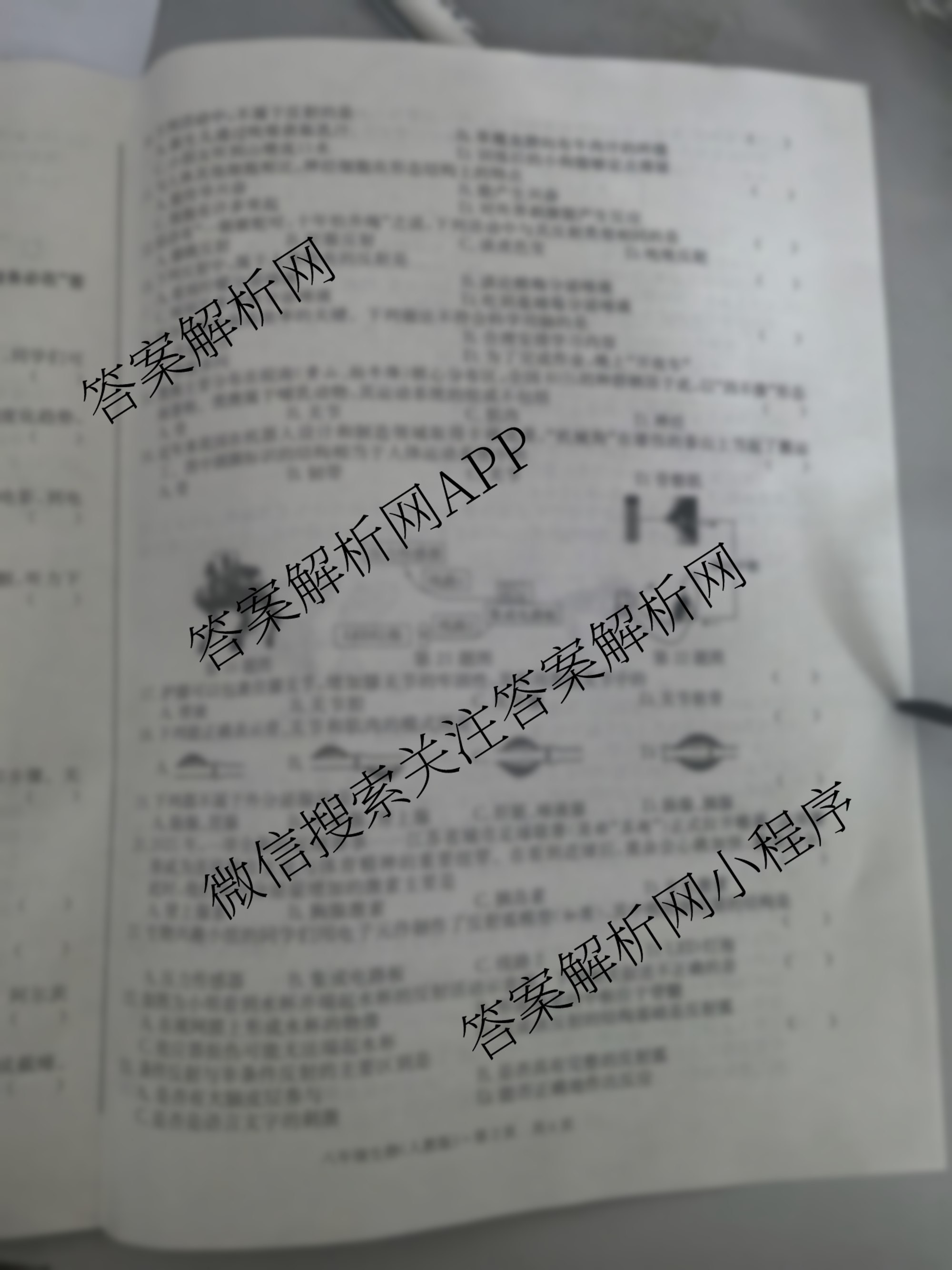 江淮名卷安徽省2025-2026八年级10月考试(无标题)[第一次月考]各科答案及试卷(已更新数学(北师大版)、英语(译林版)、英语(人教版)等18份)生物试题