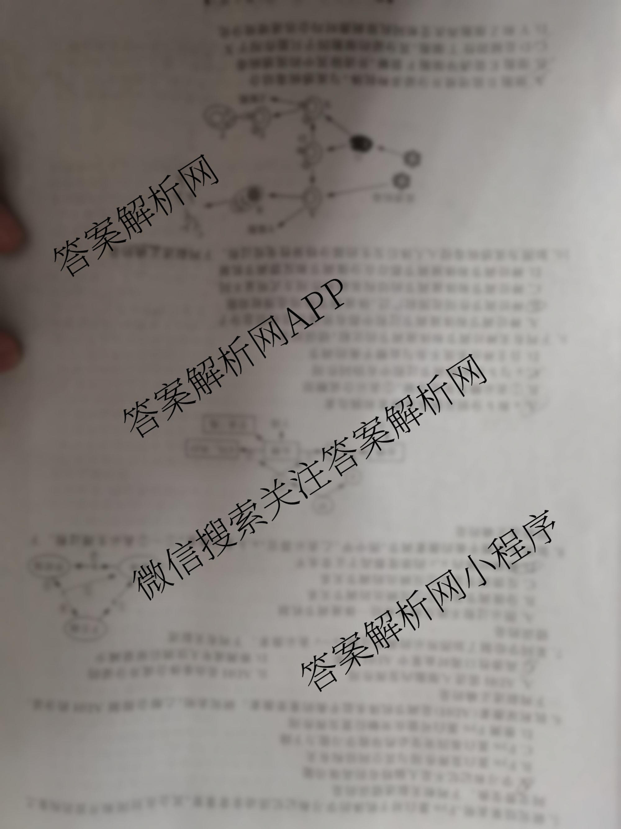 四市普通高中2024-2025学年度高二第一学期期中教学质量检测(25067B)（含政治、化学、英语等9份）生物试题