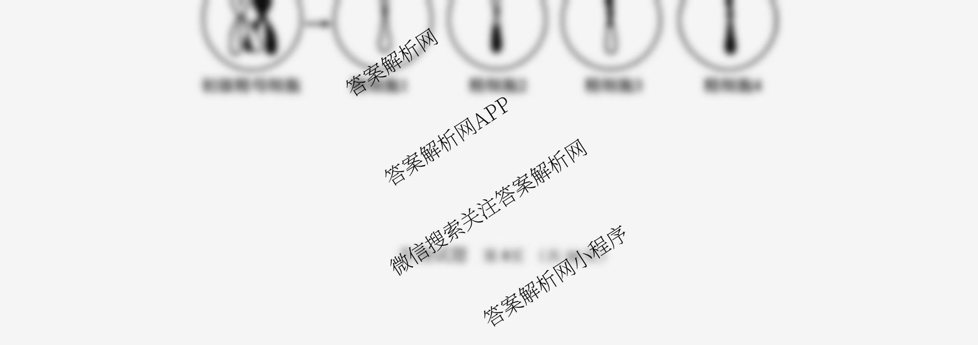 山东师范大学附属中学2026届高三年级10月份阶段性检测: 含政治、英语、语文试卷解析生物试题 山东师范大学附属中学2026届高三年级10月份阶段性检测: 含政治、英语、语文试卷解析生物试题