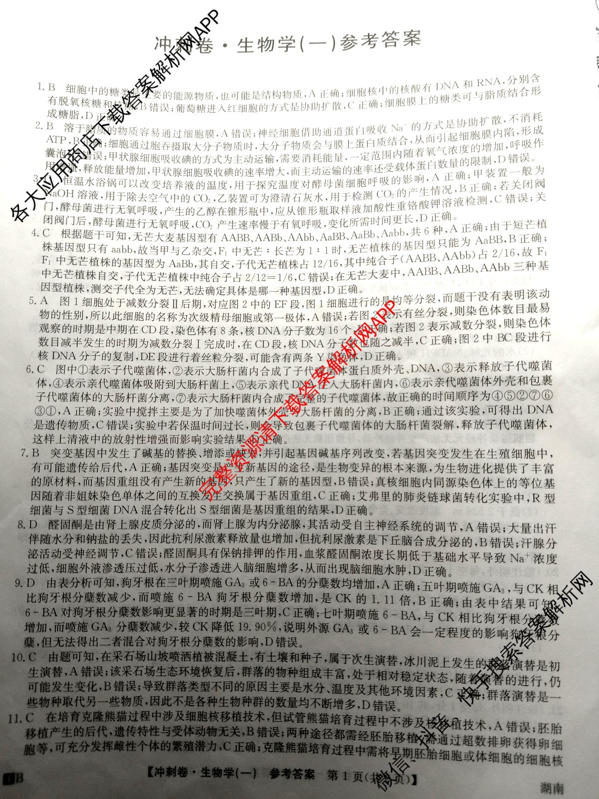 2024年湖南省普通高中学业水平选择性考试冲刺压轴卷(一)生物(湖南)答案