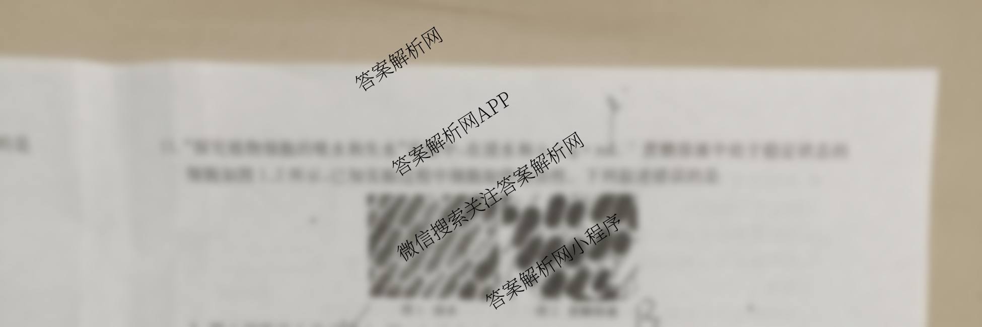 陕西2026届高三年级考试(9.29)各科答案及试卷(已更新地理 英语 数学等9份)生物试题