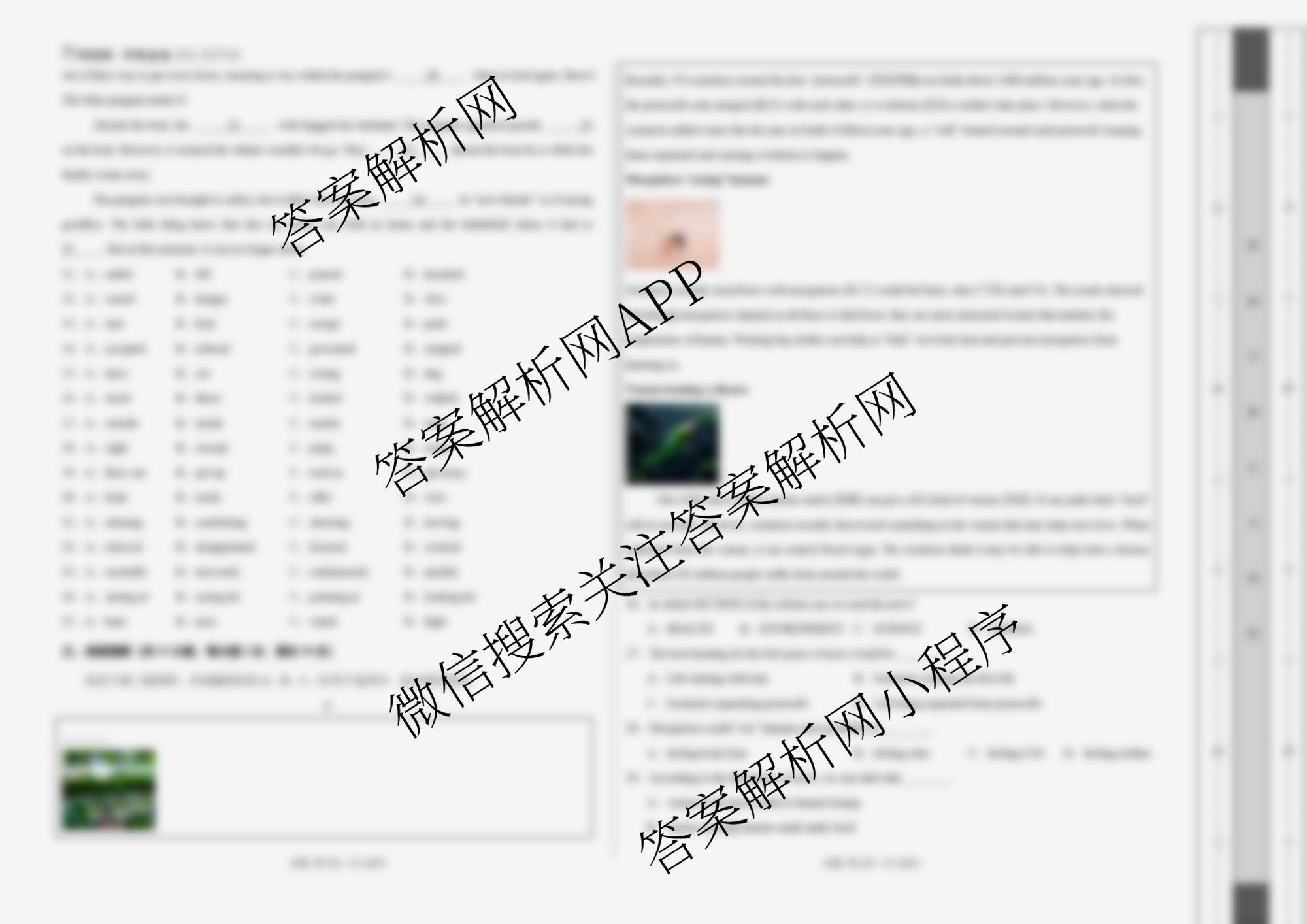 学易金卷2025-2026学年九年级上学期期末模拟卷（含英语(湖北省卷专用)、化学、道德与法治等）英语试题