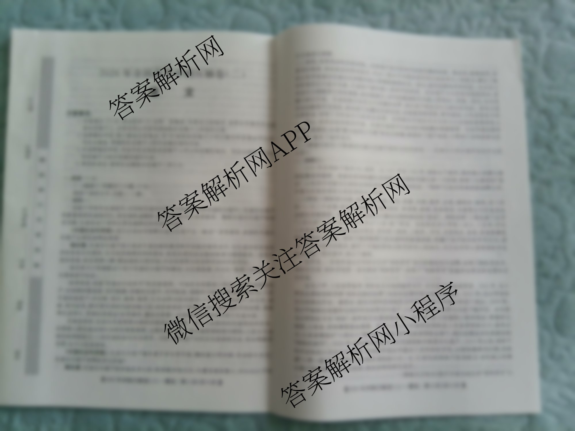 2026年全国高考冲刺压轴卷(二)2（含地理(B1)、政治(四川)、物理(河南)等）语文试题