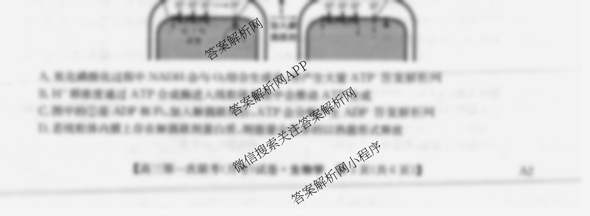 全国名校大联考2025~2026学年高三第一次联考(月考)各科答案及试卷(已更新历史(河南)、地理(A1)、地理(A2)等11份)生物试题