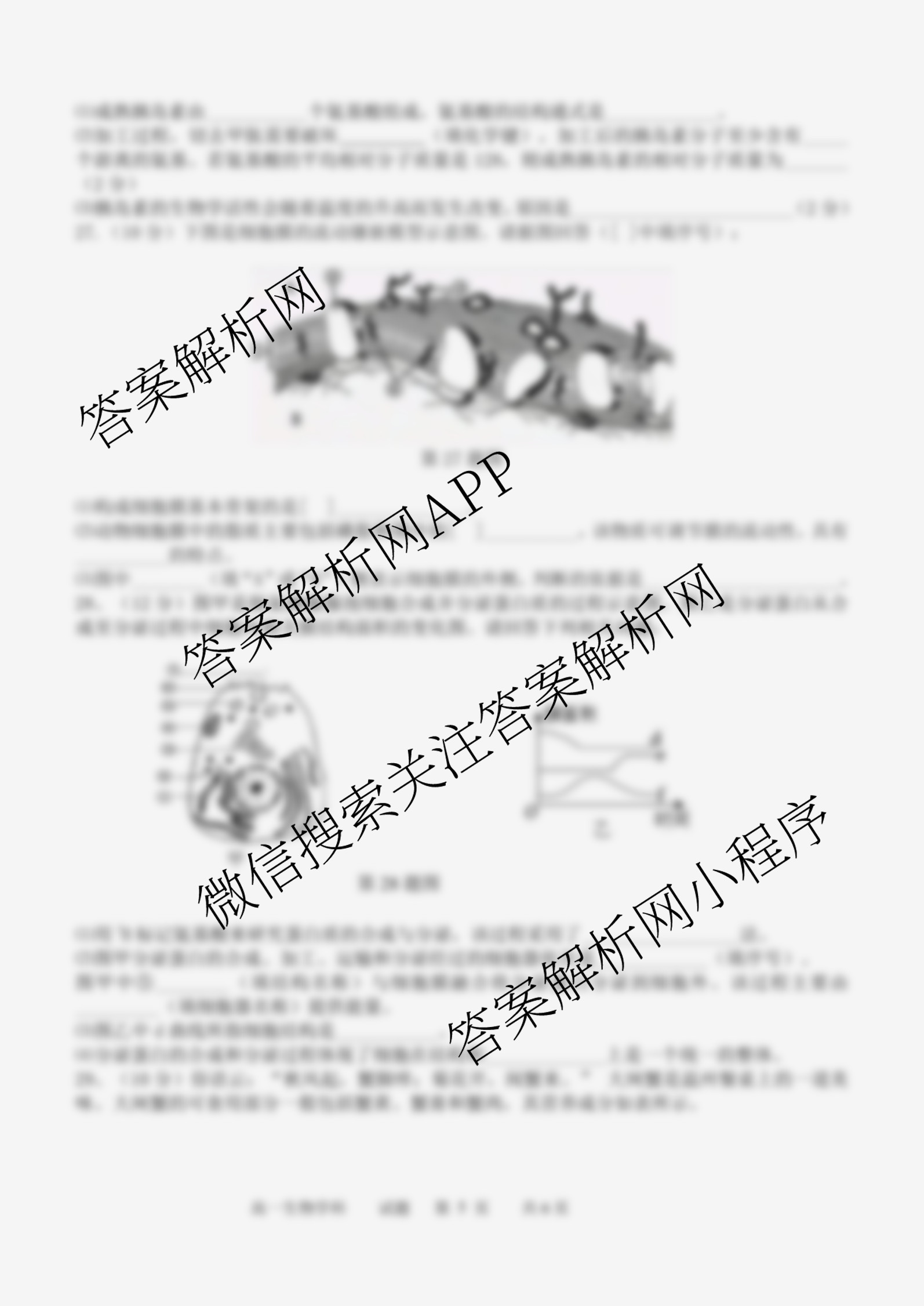 2025学年第一学期温州十校联合体期中联考高一年级各科答案及试卷（含政治、生物、语文等）生物试题