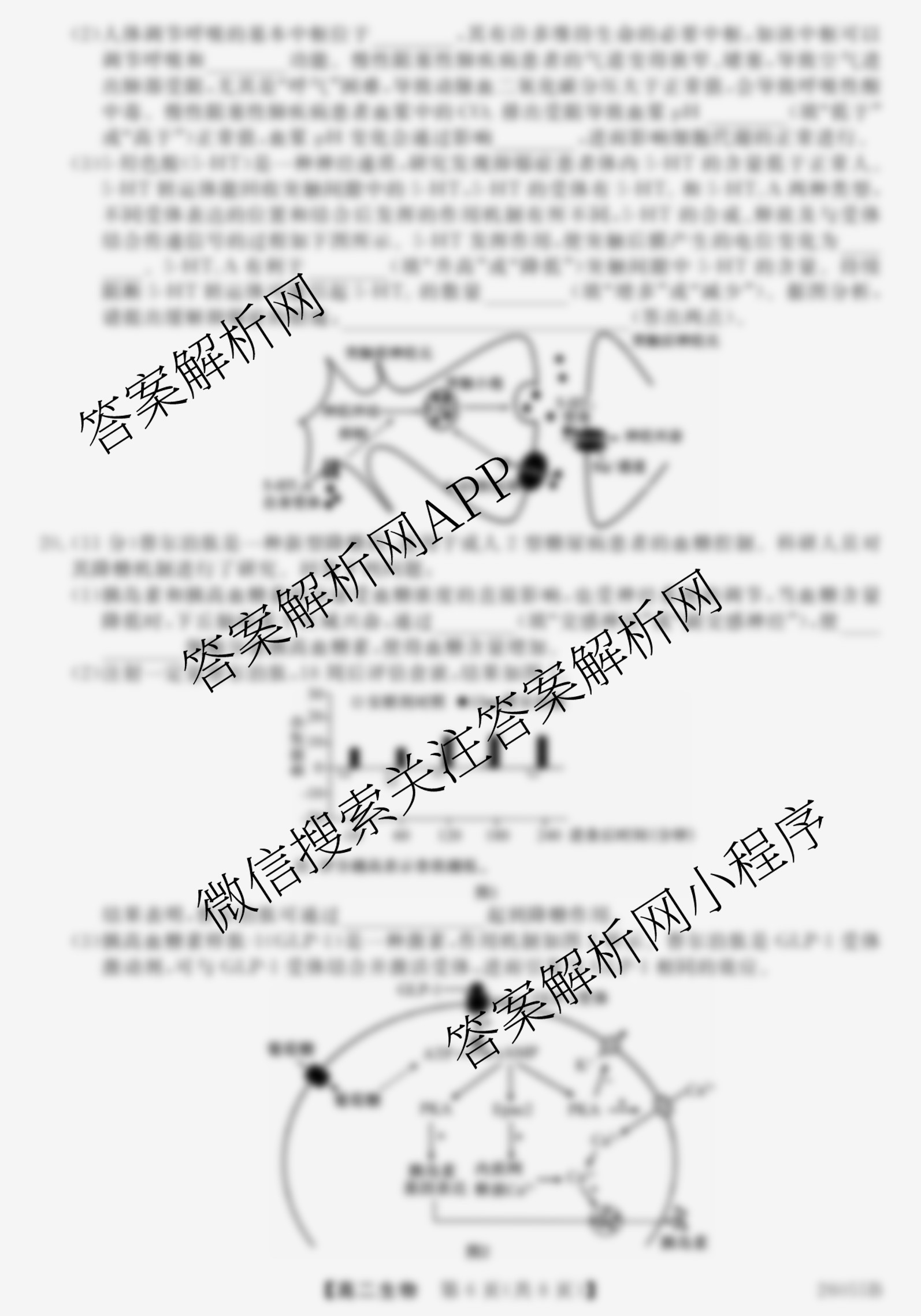河北省2025-2026学年上学期高二12月份考试(26055B)试卷及答案汇总（含化学 历史 语文等）生物试题