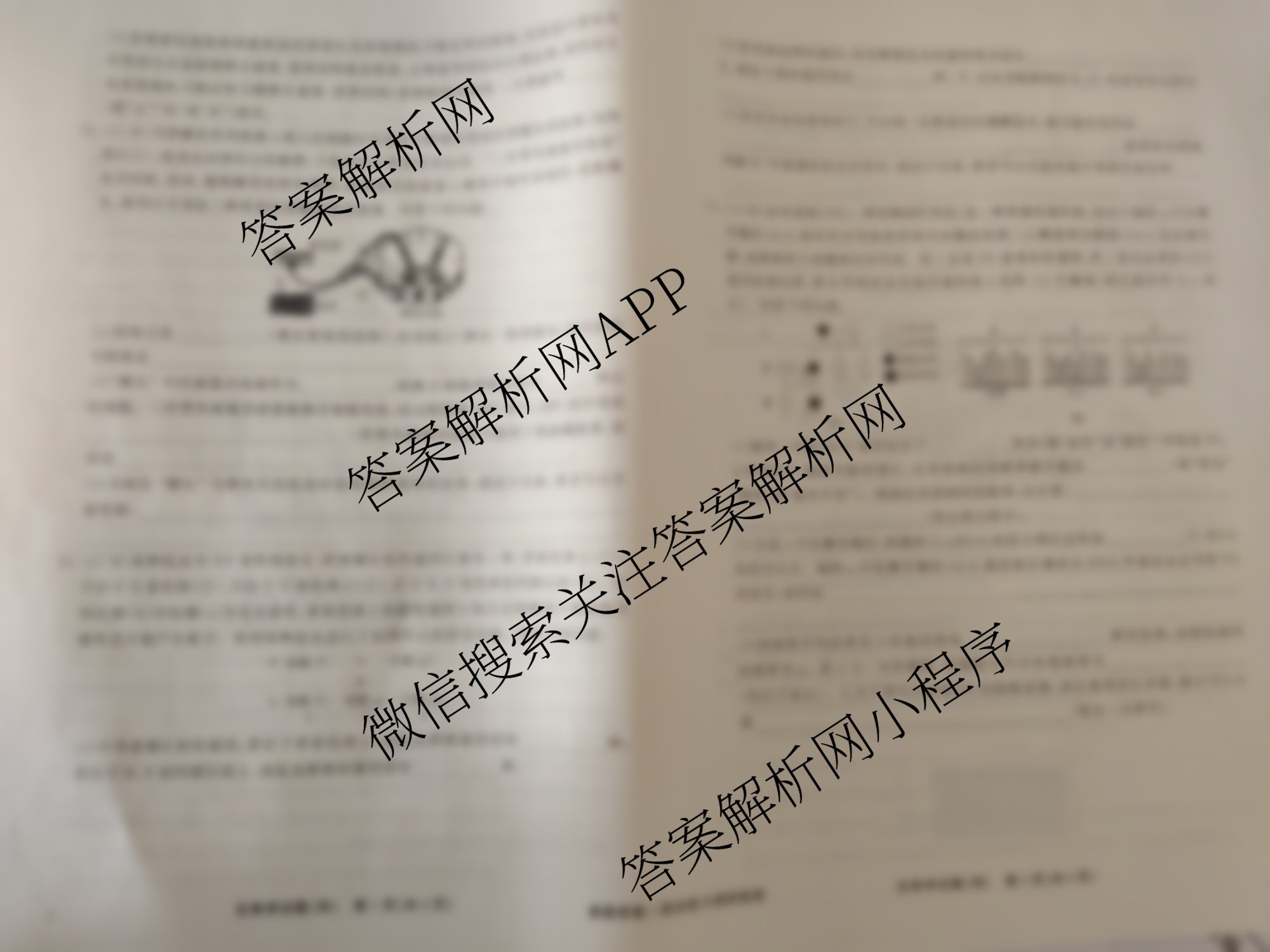 衡水真题密卷2025-2026学年度综合能力调研检测(四)4各科答案及试卷（含地理(7)、数学(A)、生物(1)等）生物试题