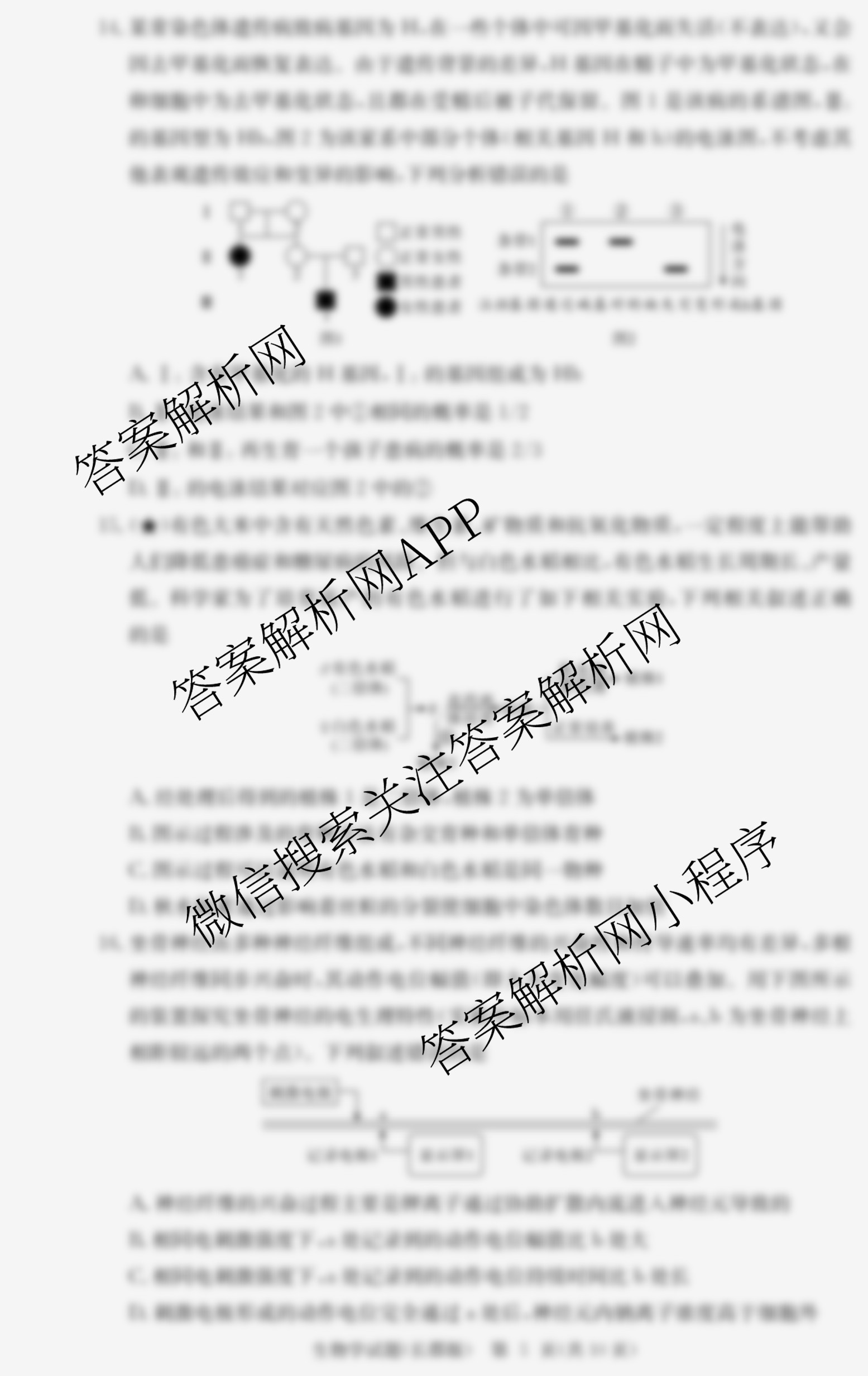 炎德英才大联考长郡中学2026届高三月考试卷(三)各科答案及试卷（9科全）生物试题