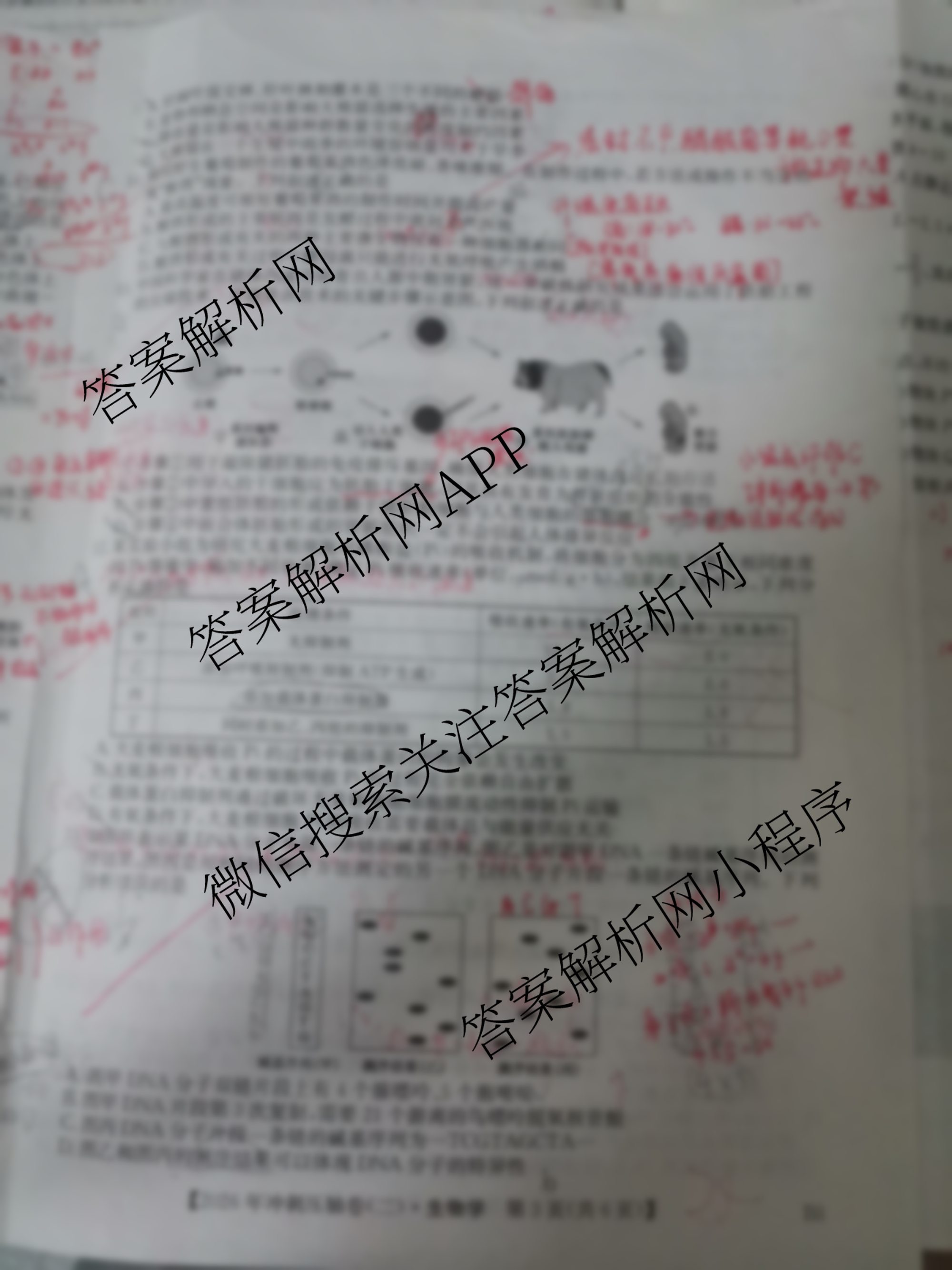 2026年全国高考冲刺压轴卷(二)2（含地理(B1)、政治(四川)、物理(河南)等）生物试题