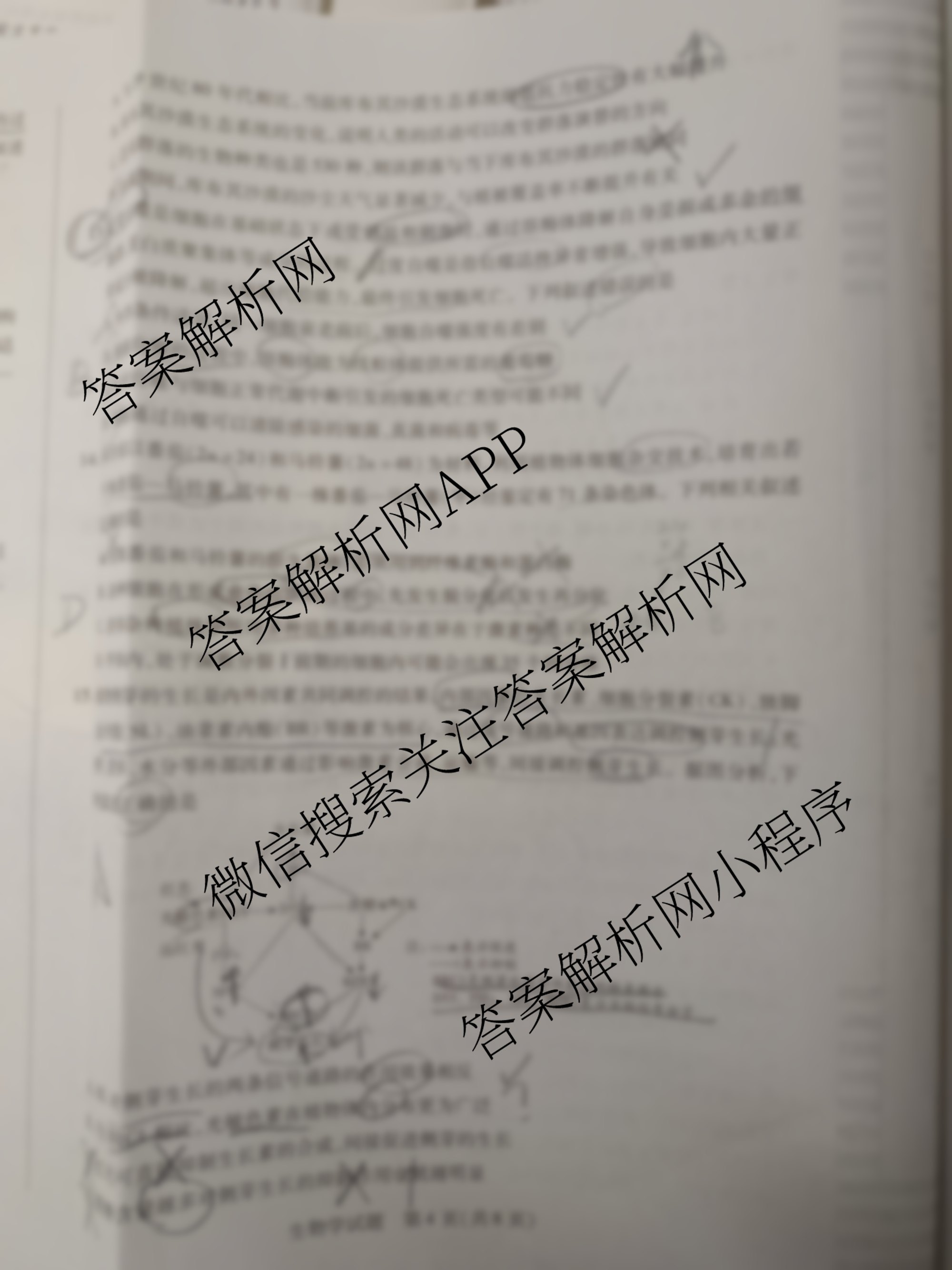 天一大联考2025年高三年级9月质量监测(已更新地理、语文、英语等10份)生物试题
