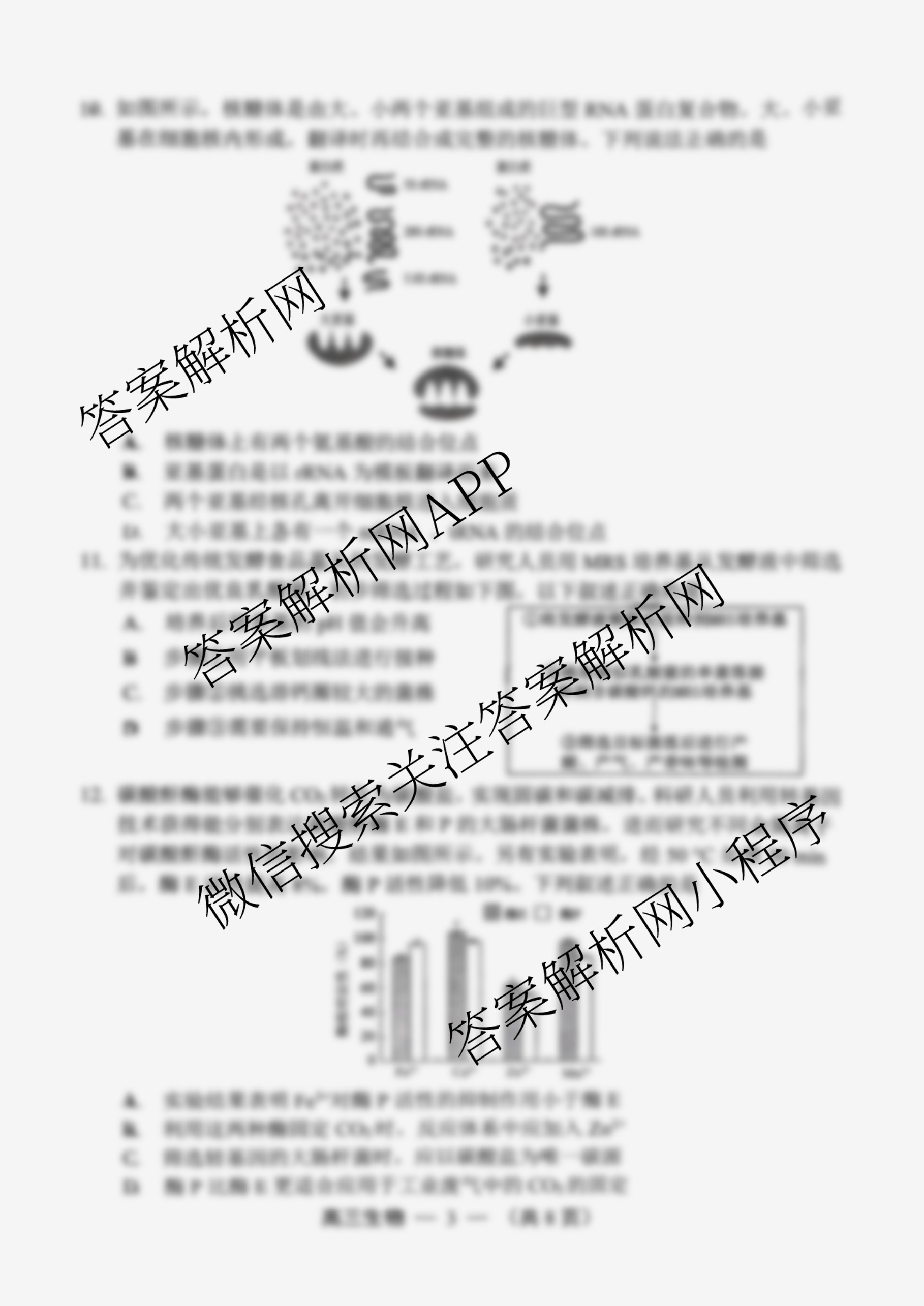 2025-2026学年福州市高三年级第一次质量检测各科答案及试卷（10科全）生物试题