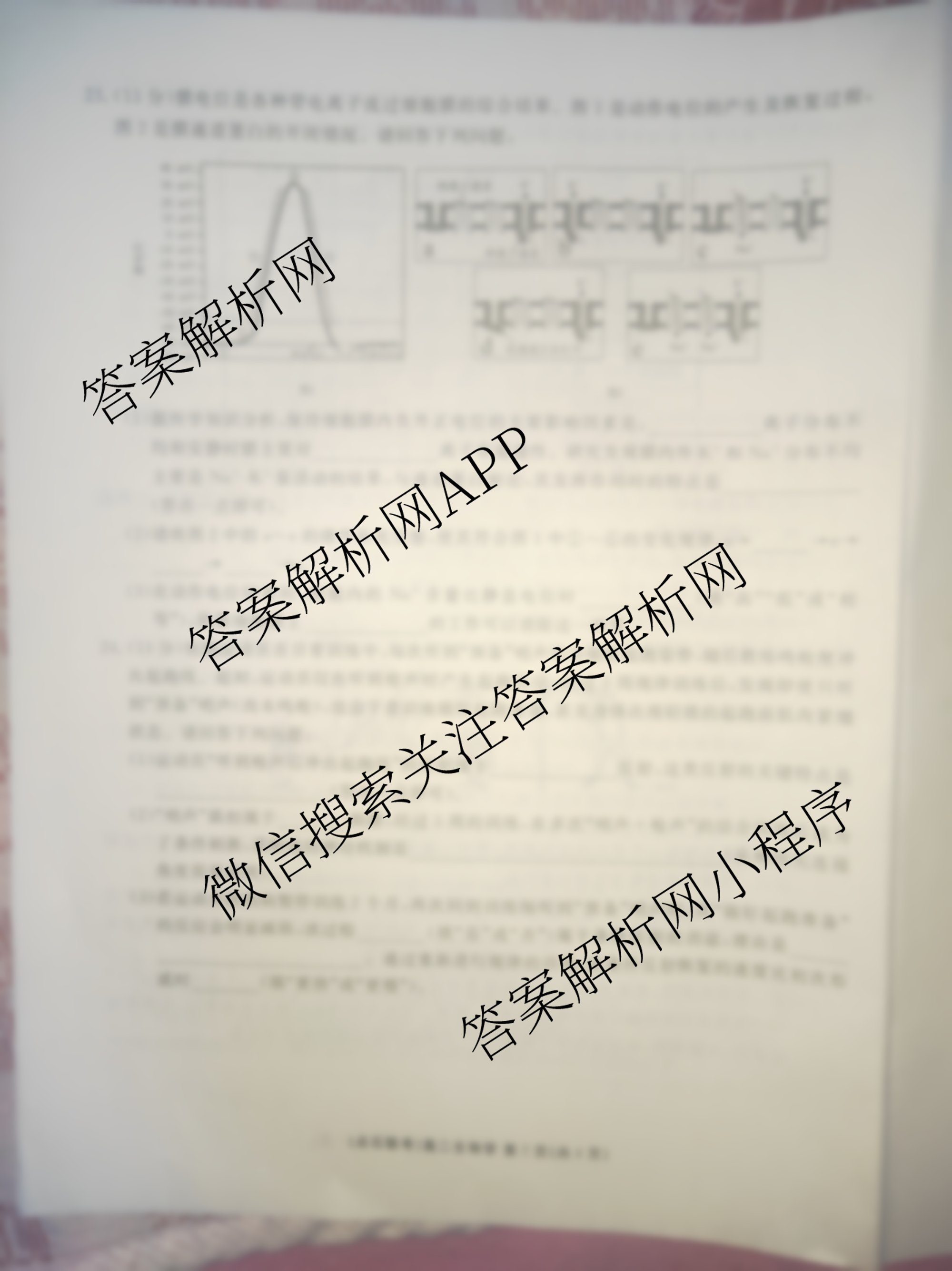 点石联考辽宁省2025-2026学年度上学期高二年级10月联合考试(10.9)（含数学 物理 英语等）生物试题