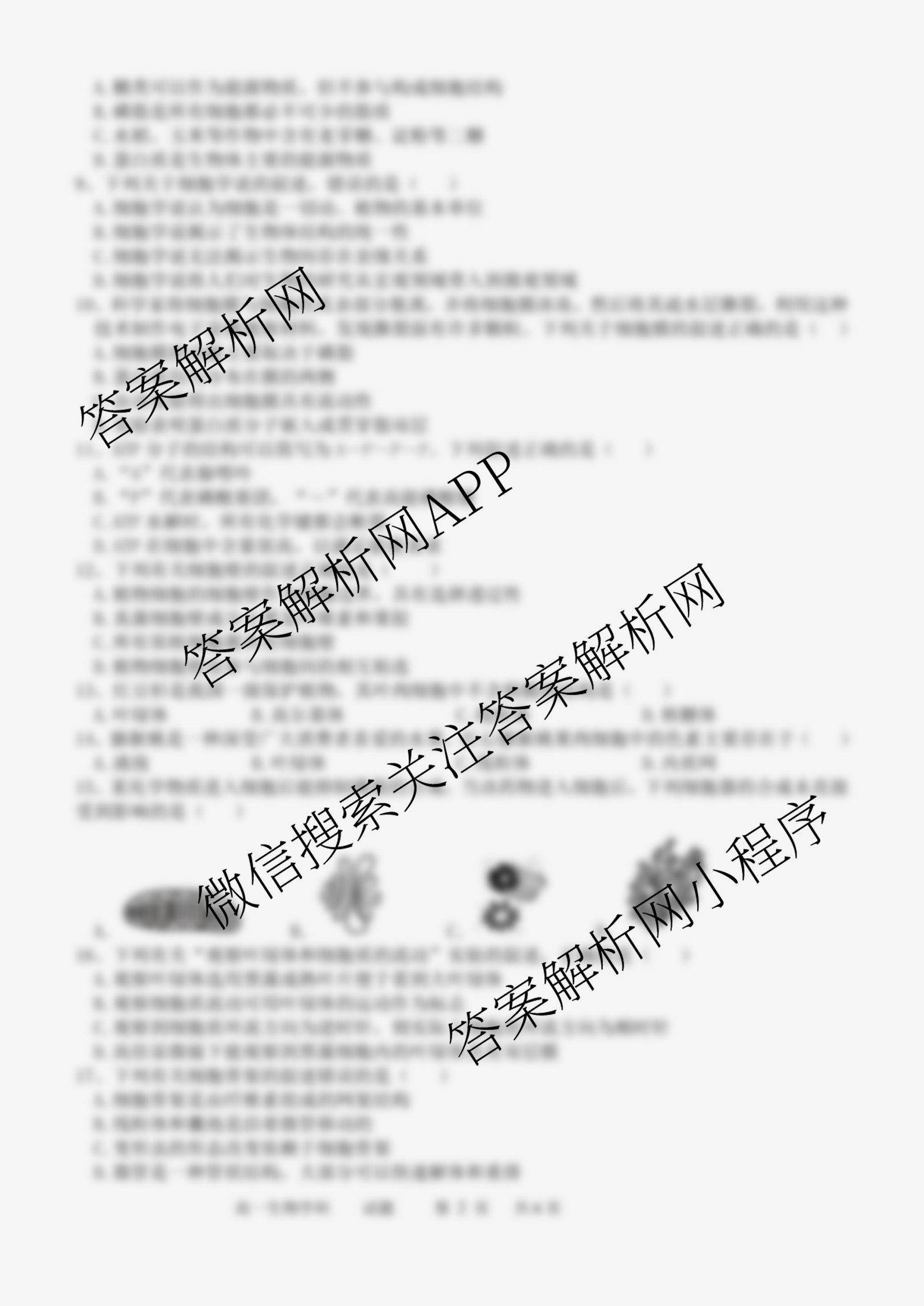 2025学年第一学期温州十校联合体期中联考高一年级各科答案及试卷（含政治、生物、语文等）生物试题