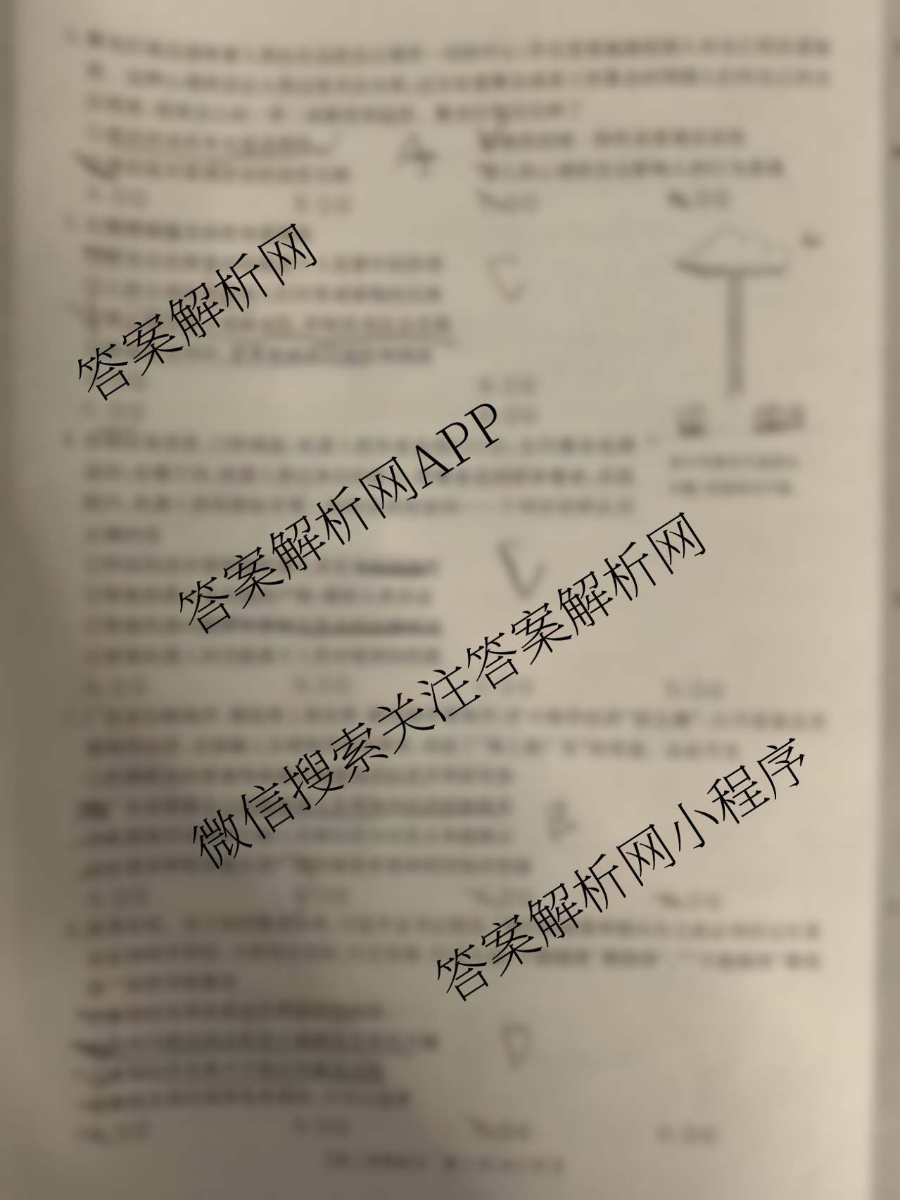 陕西省2025-2026学年高二年级考试(10.9)各科答案及试卷: 含化学(B1) 英语 地理试卷解析政治试题