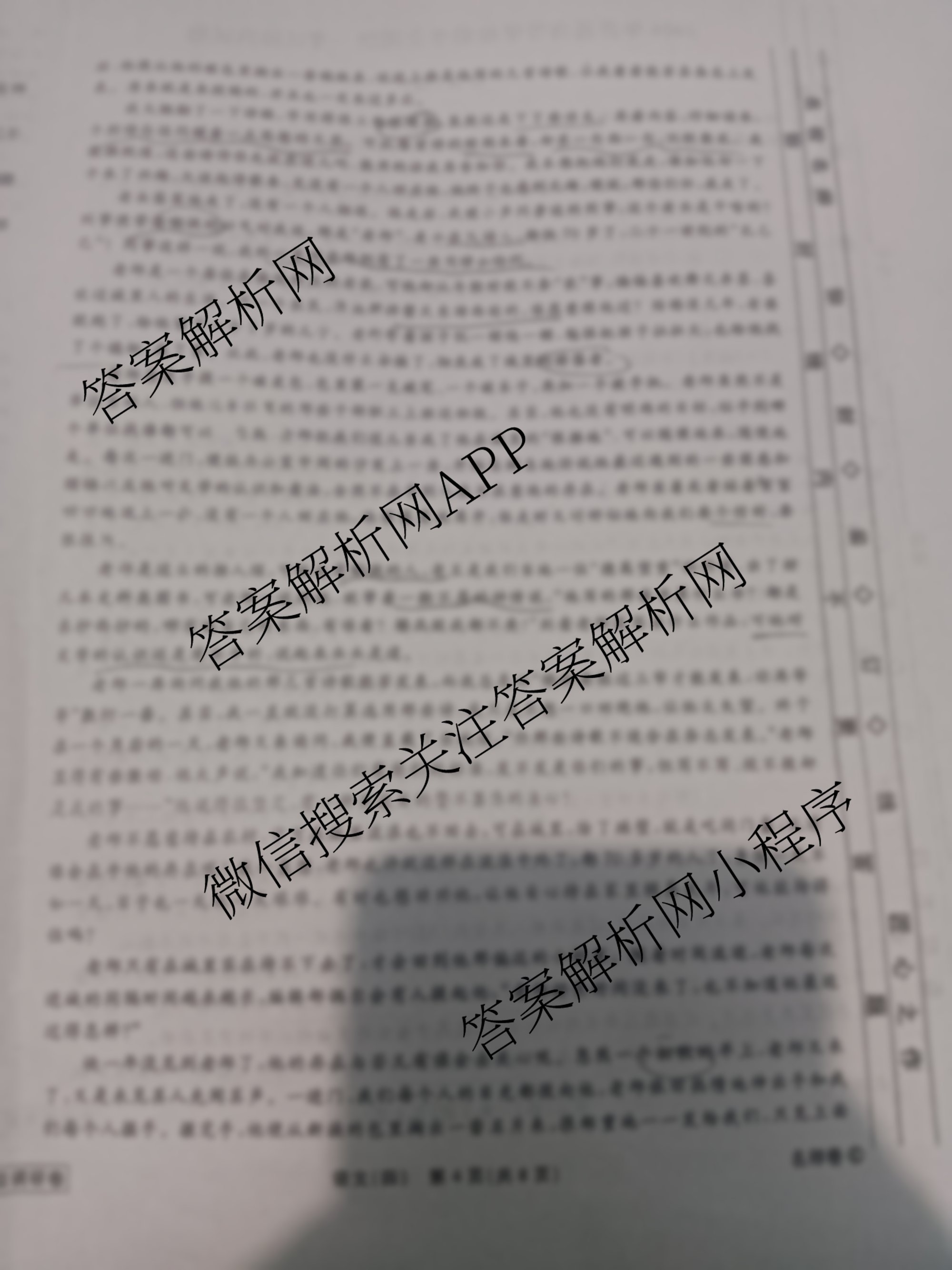 衡水名师卷高考模拟调研卷 2026年普通高等学校招生全国统一考试模拟试题(四)4试卷及答案汇总（含物理 政治 化学等）语文试题