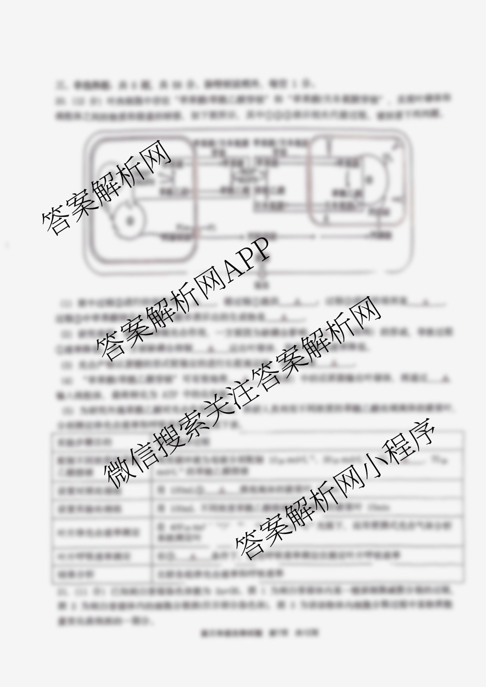 江苏省2025/2026学年度第一学期七校联盟第二次学情检测高三(2025.10)试卷及答案汇总(已更新政治(C卷) 物理 英语等11份)生物试题 江苏省2025/2026学年度第一学期七校联盟第二次学情检测高三(2025.10)试卷及答案汇总(已更新政治(C卷) 物理 英语等11份)生物试题