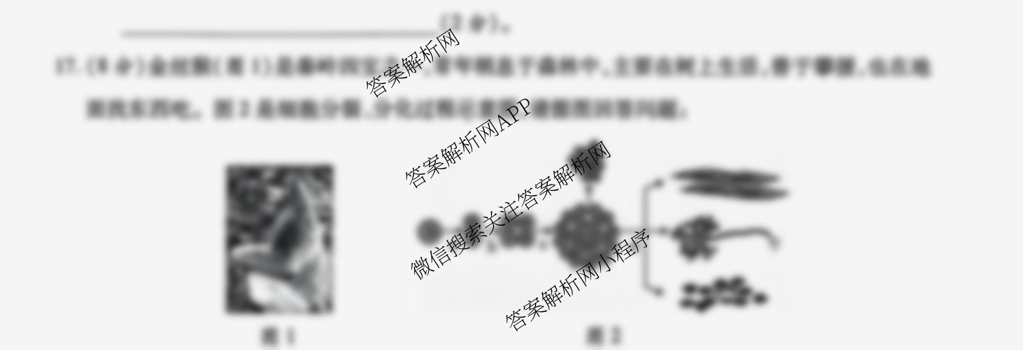 [益卷]2025~2026学年度第一学期课后综合作业(三)[试卷类型A]七年级各科答案及试卷（8科全）生物试题