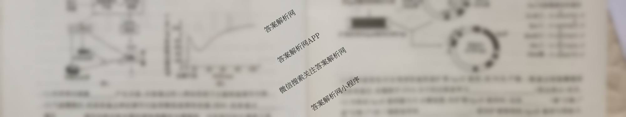 百师联盟2026届高三仿真模拟考试(四)试卷及答案汇总(已更新物理(百N) 政治(百H) 英语(百A)等25份)生物试题