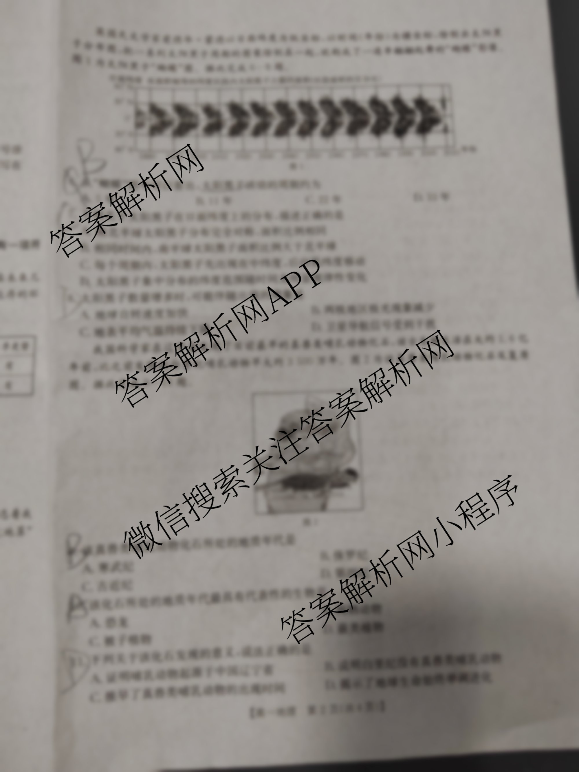 江西省2025-2026学年高一年级考试(10.10)各科答案及试卷（9科全）地理试题