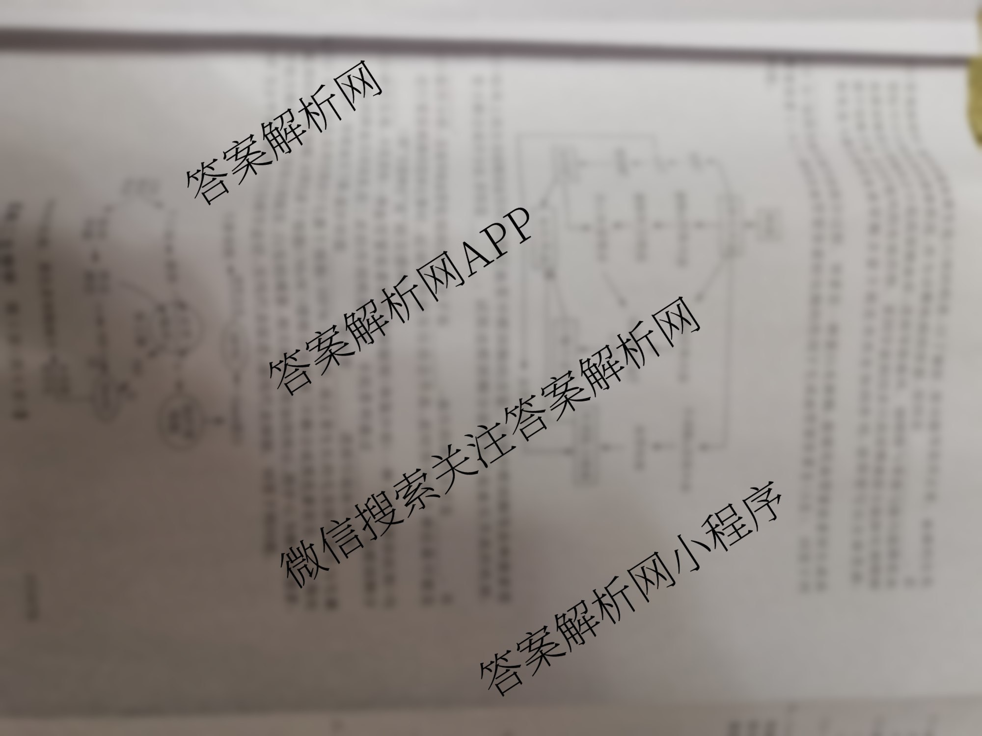 四市普通高中2024-2025学年度高二第一学期期中教学质量检测(25067B)（含政治、化学、英语等9份）生物试题