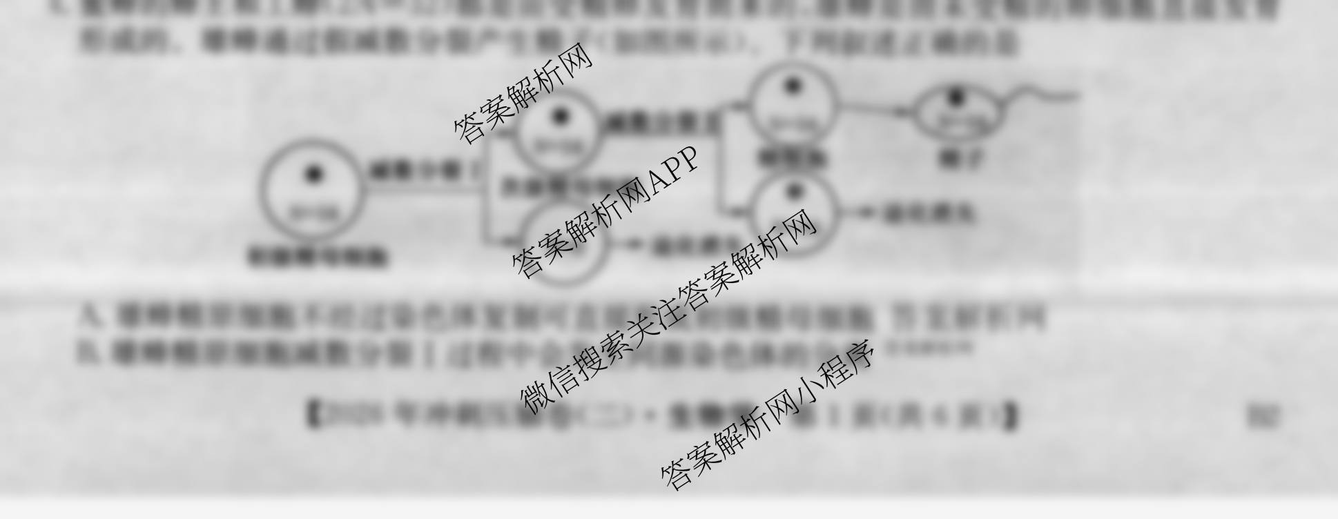 2026年全国高考冲刺压轴卷(二)2（含地理(B1)、政治(四川)、物理(河南)等）生物试题