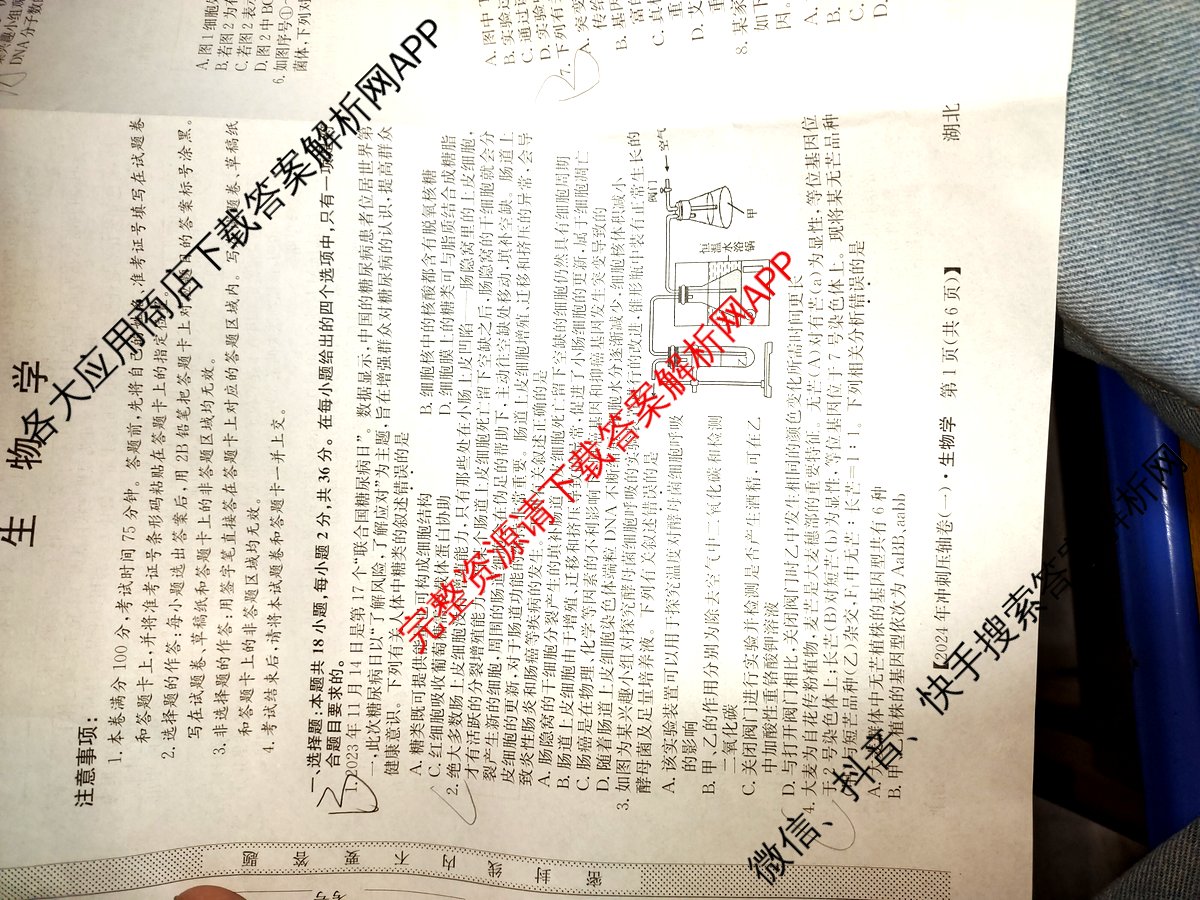 2024年湖北省普通高中学业水平选择性考试冲刺压轴卷(一)1生物(湖北)试题
