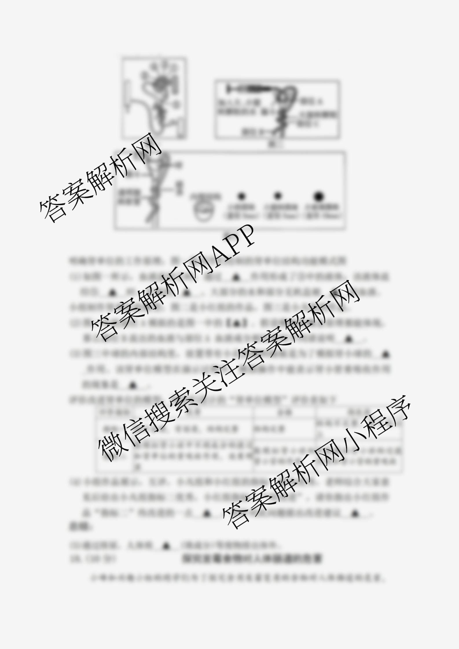 运城市2025~2026学年八年级第二次阶段性考试: 含物理、道德与法治、英语试卷解析生物试题