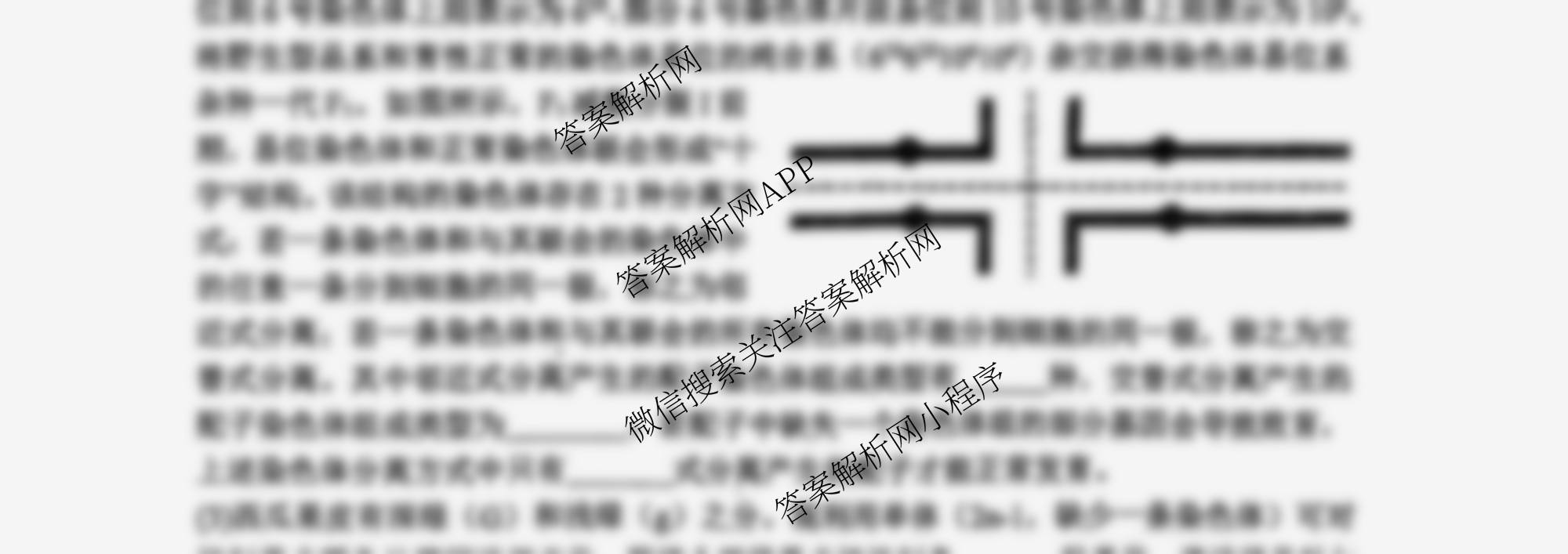 山西大学附中2025~2026学年第一学期高三10月模块诊断(总第五次)各科答案及试卷(已更新地理、英语、语文等9份)生物试题 山西大学附中2025~2026学年第一学期高三10月模块诊断(总第五次)各科答案及试卷(已更新地理、英语、语文等9份)生物试题