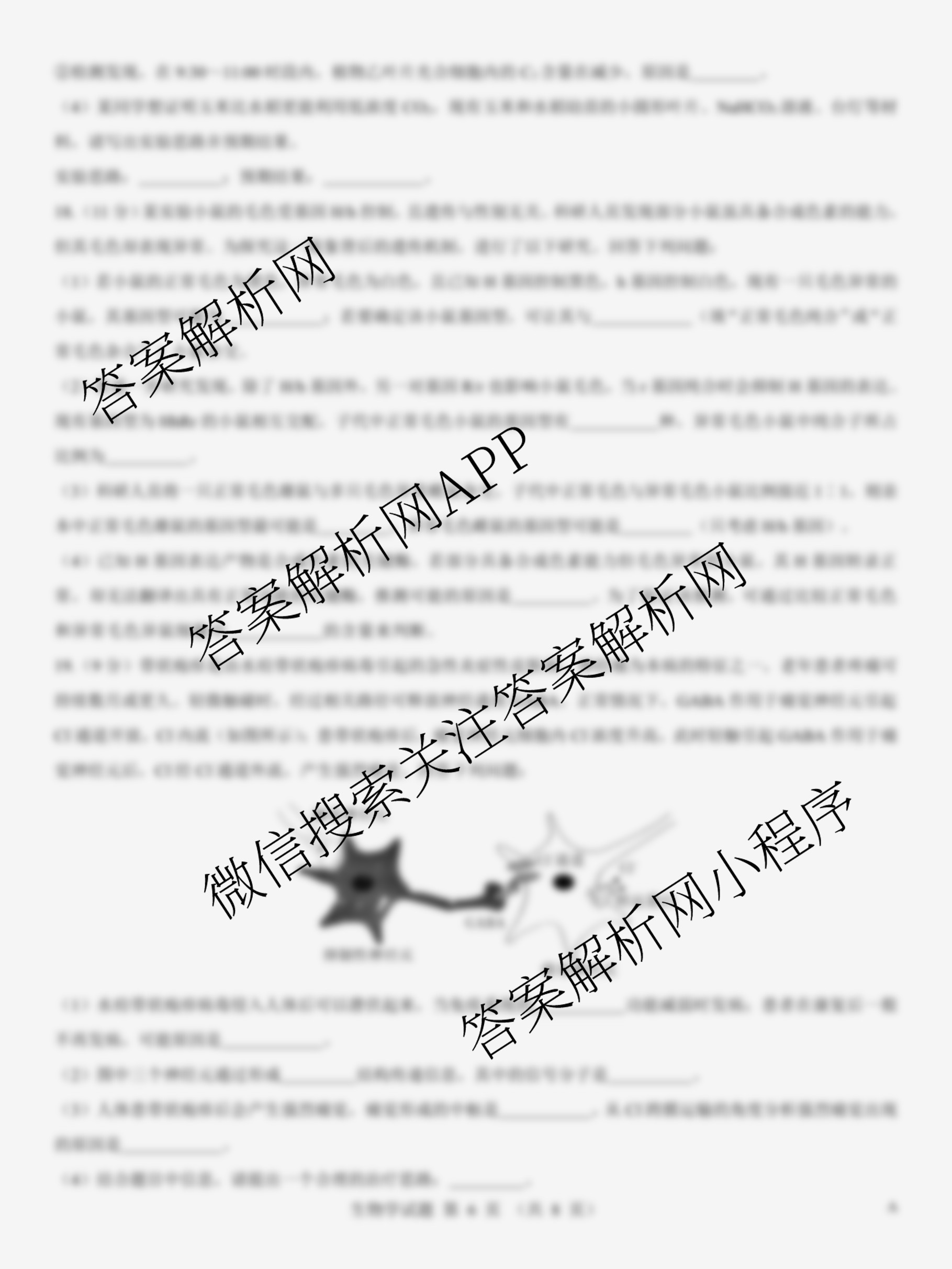 名校教研联盟2026届高考仿真模拟卷(样卷)试卷及答案汇总(11科全)生物试题 名校教研联盟2026届高考仿真模拟卷(样卷)试卷及答案汇总(11科全)生物试题