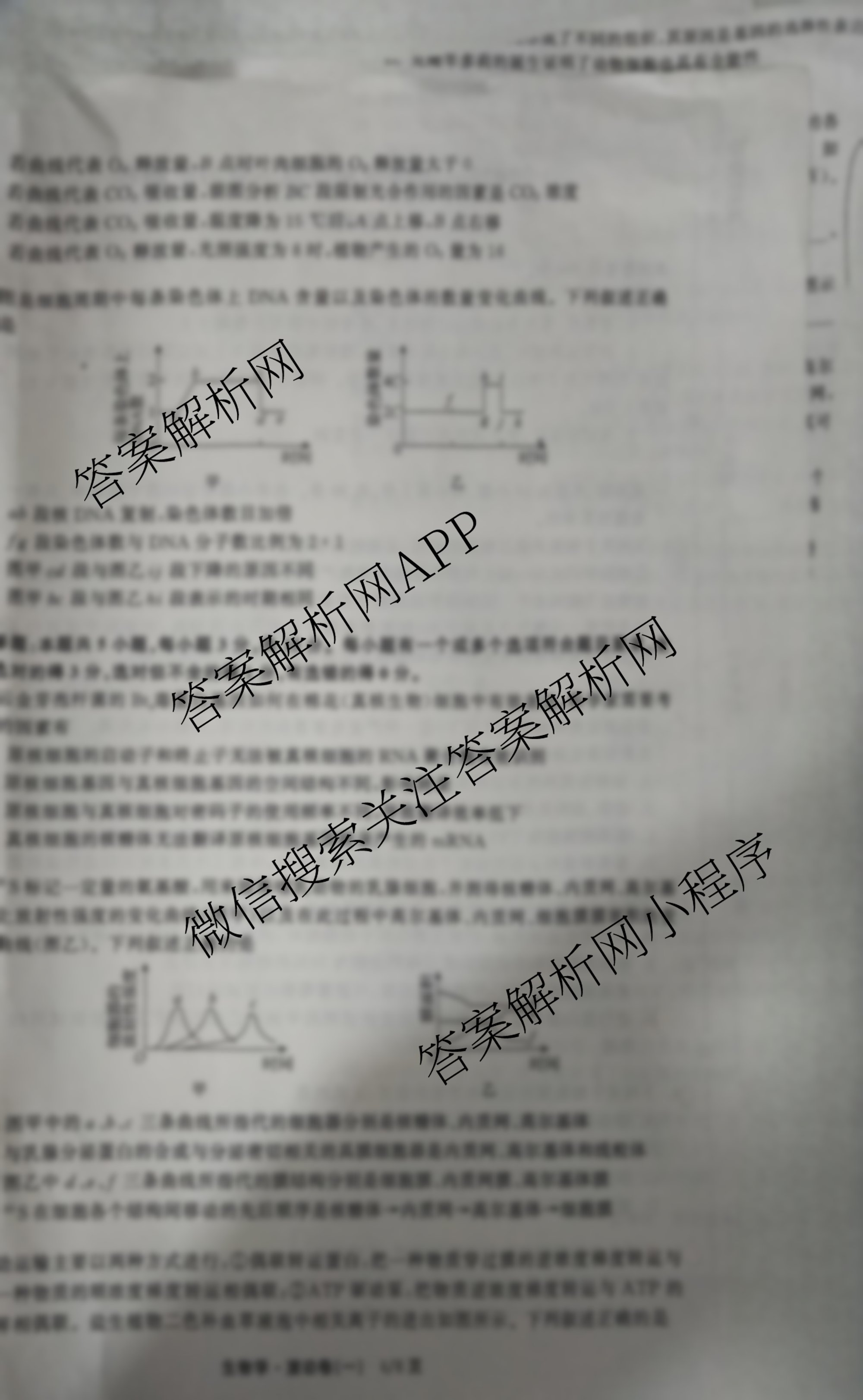 衡中同卷2025-2026学年度高三复滚动卷(一)1各科答案及试卷（含英语、数学、语文(B)等17份）生物试题