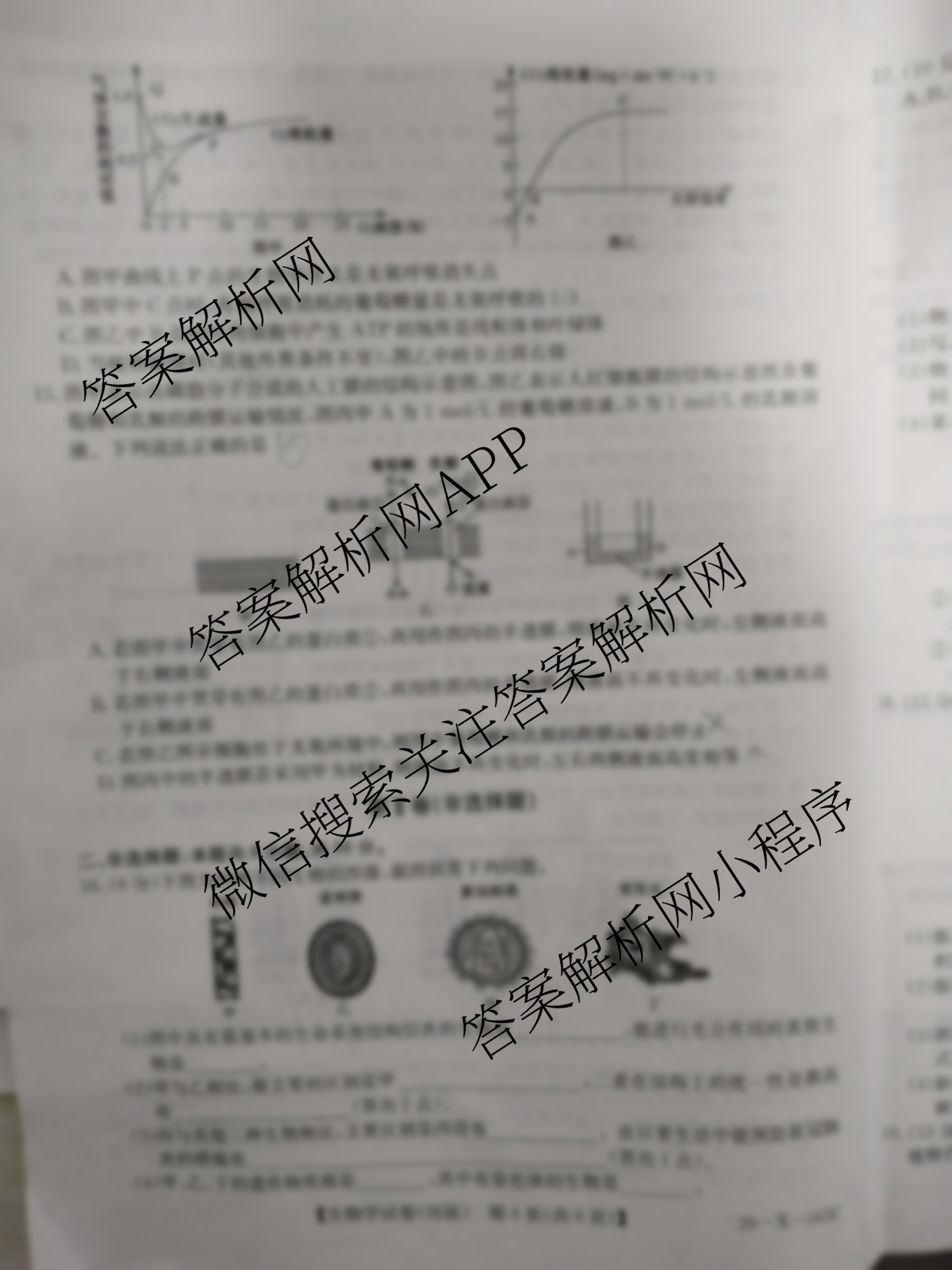 安徽省2025~2026学年度高三年级九月份月考(26-X-062C)（11科全）生物试题