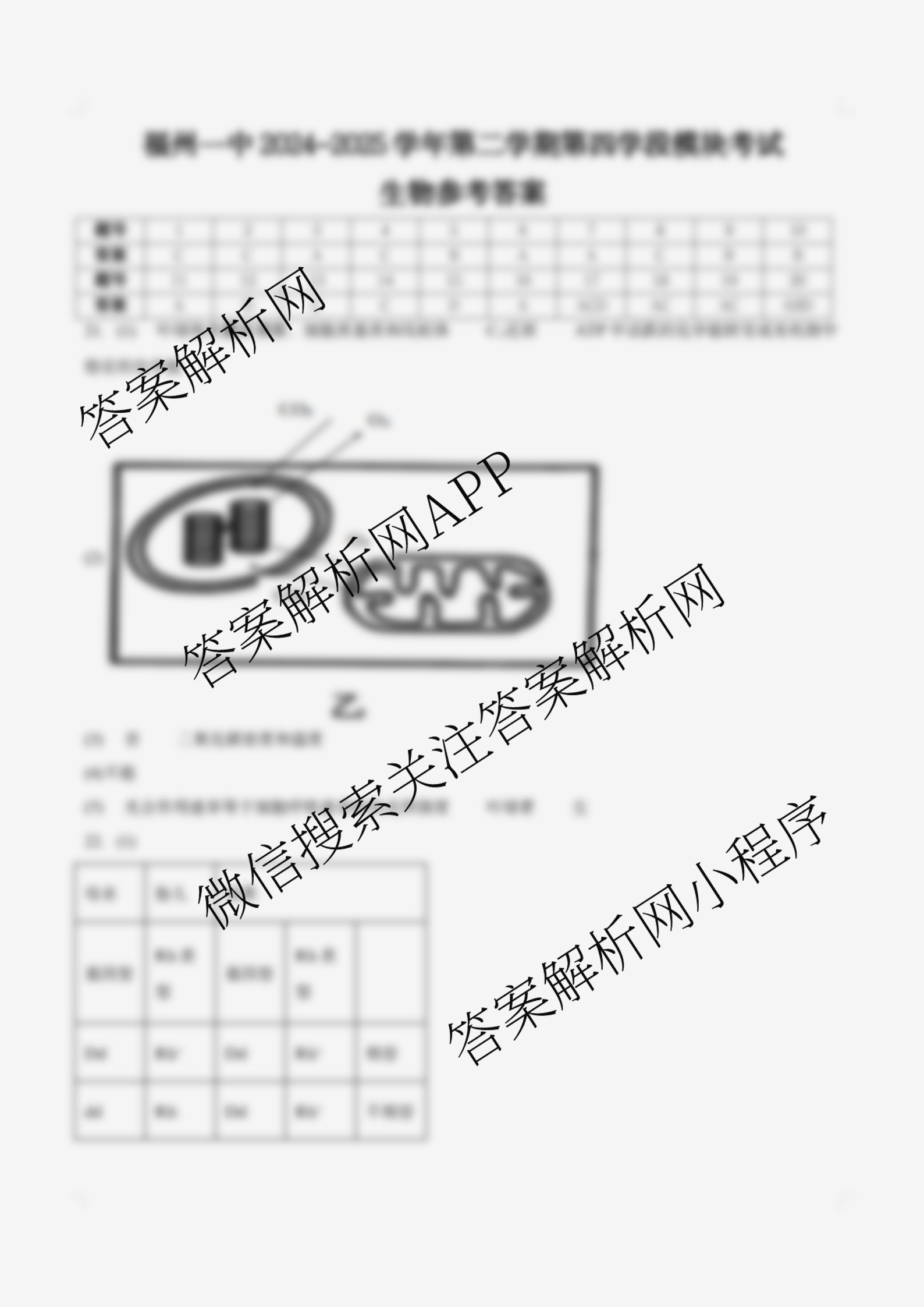 福建省福州一中2024-2025学年第二学期第四学段模块考试高二: 含地理、物理、语文试卷解析生物答案