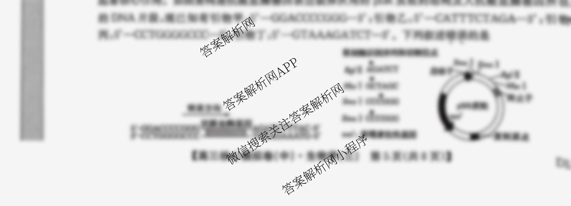 九师联盟2025~2026学年高三核心模拟卷(中)(三)3（含化学(C)、地理(A1)、政治(D4)等）生物试题