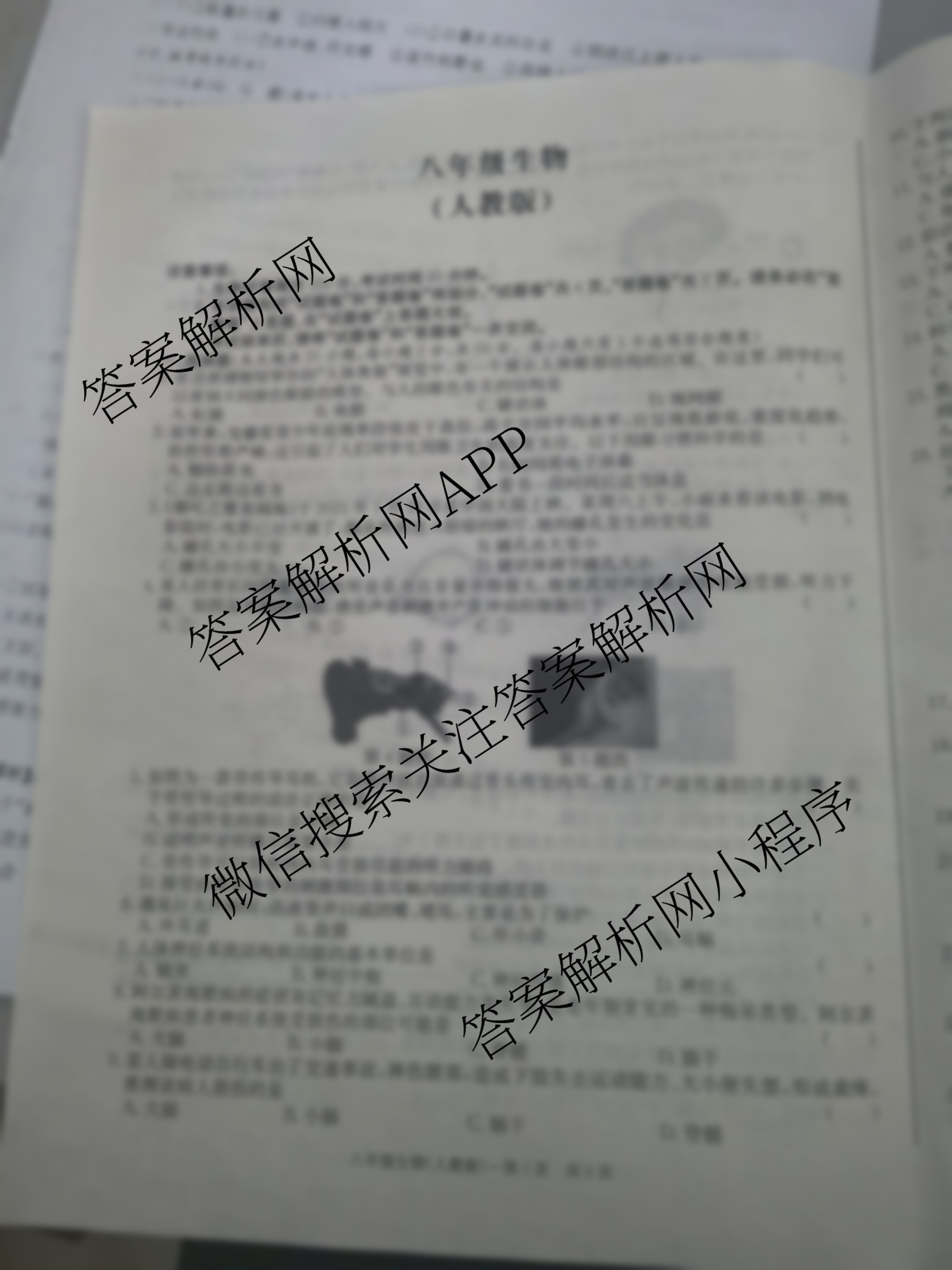 江淮名卷安徽省2025-2026八年级10月考试(无标题)[第一次月考]各科答案及试卷(已更新数学(北师大版)、英语(译林版)、英语(人教版)等18份)生物试题