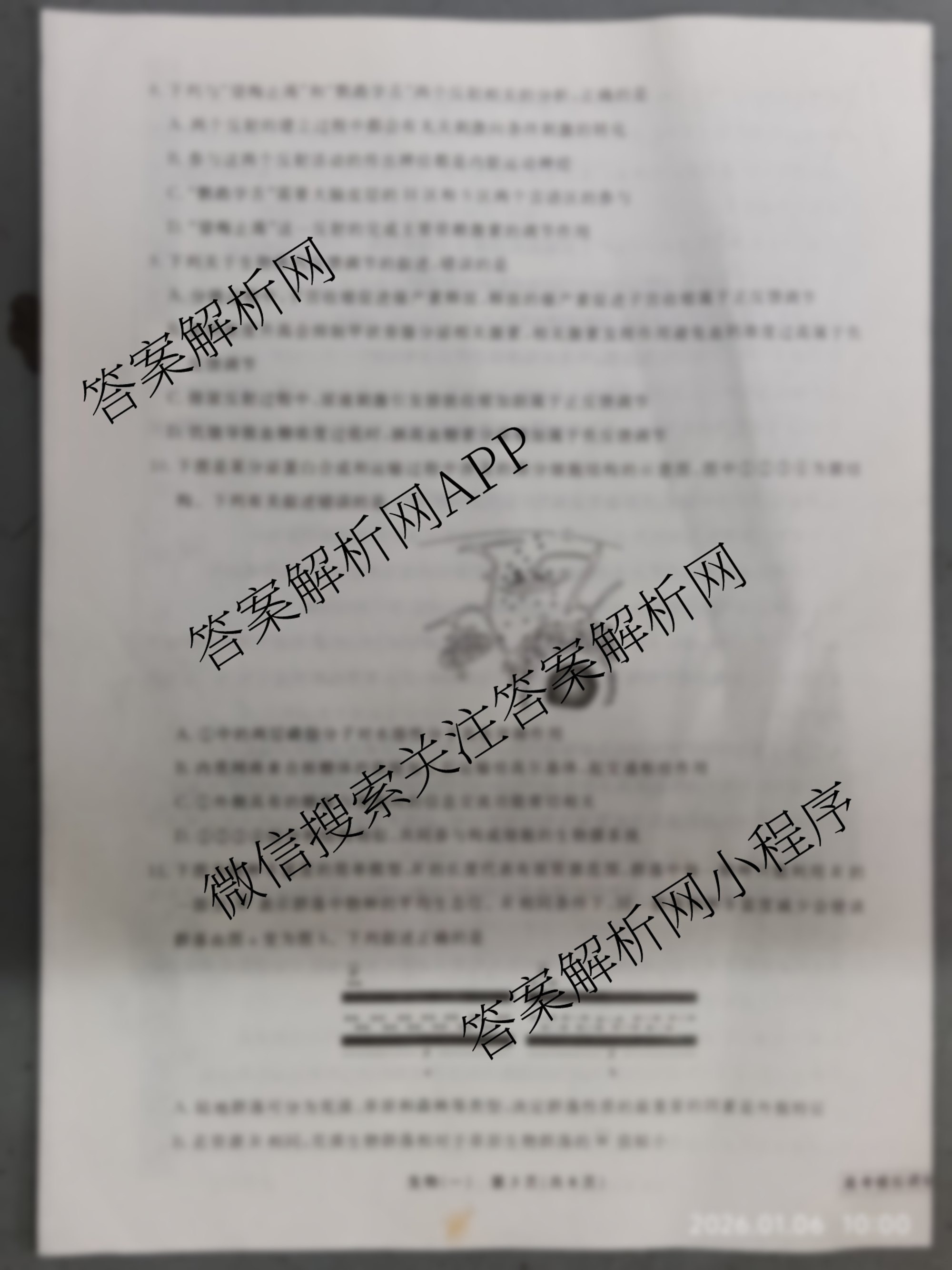 衡水名师卷高考模拟调研卷 2026年普通高等学校招生全国统一考试模拟试题(一)1（含物理(菱形点) 生物(※) 化学(圆圈点)等21份）生物试题
