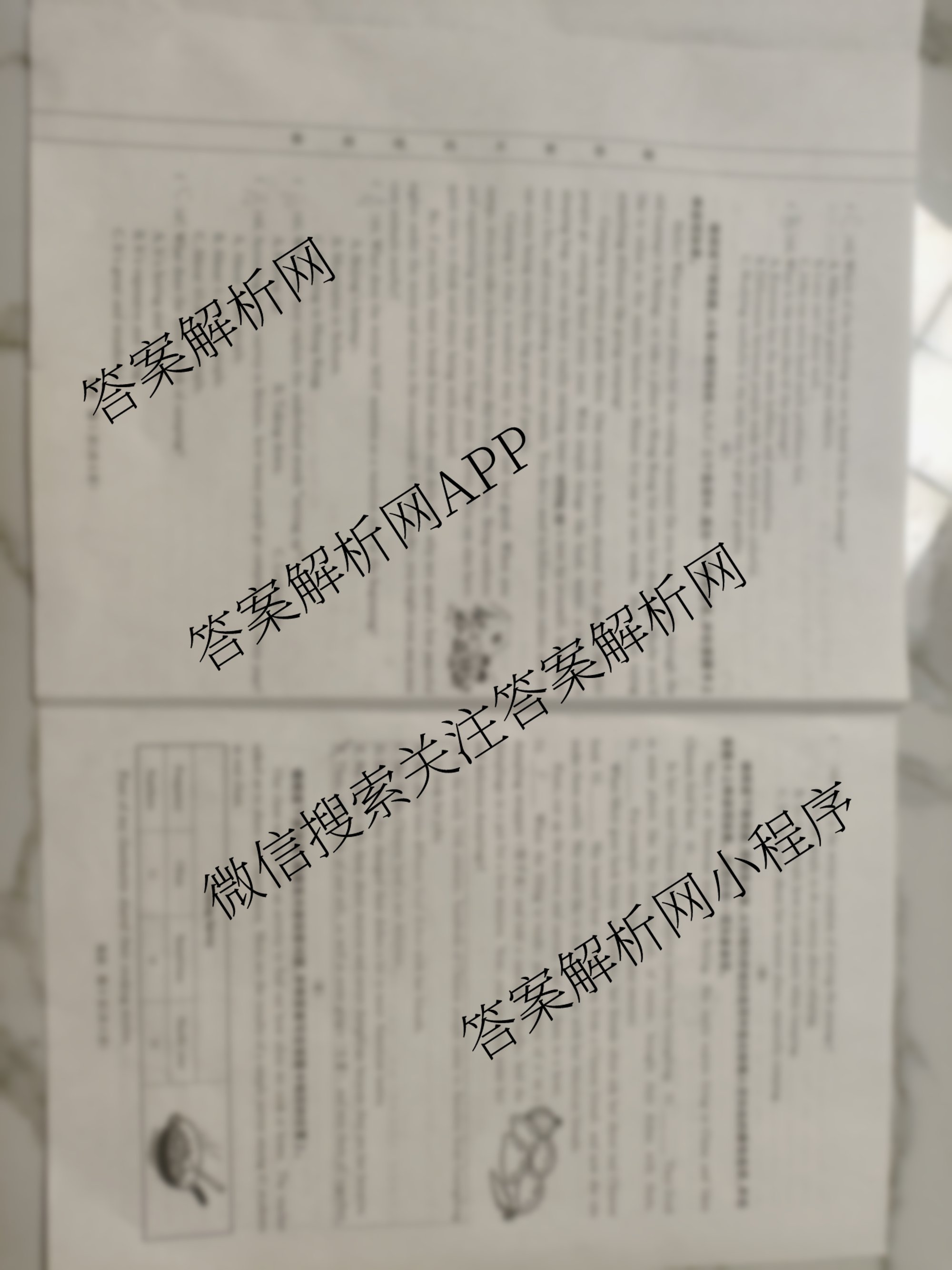 山西省2025-2026学年第一学期八年级评估质量监测(三)各科答案及试卷（含生物 语文 英语等9份）英语试题