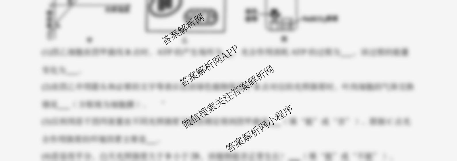 福建省福州一中2024-2025学年第二学期第四学段模块考试高二: 含地理、物理、语文试卷解析生物试题