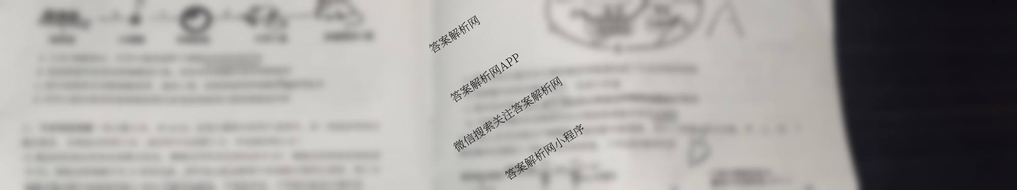 郴州市2026届高三第一次教学质量监测试卷试卷及答案汇总（9科全）生物试题