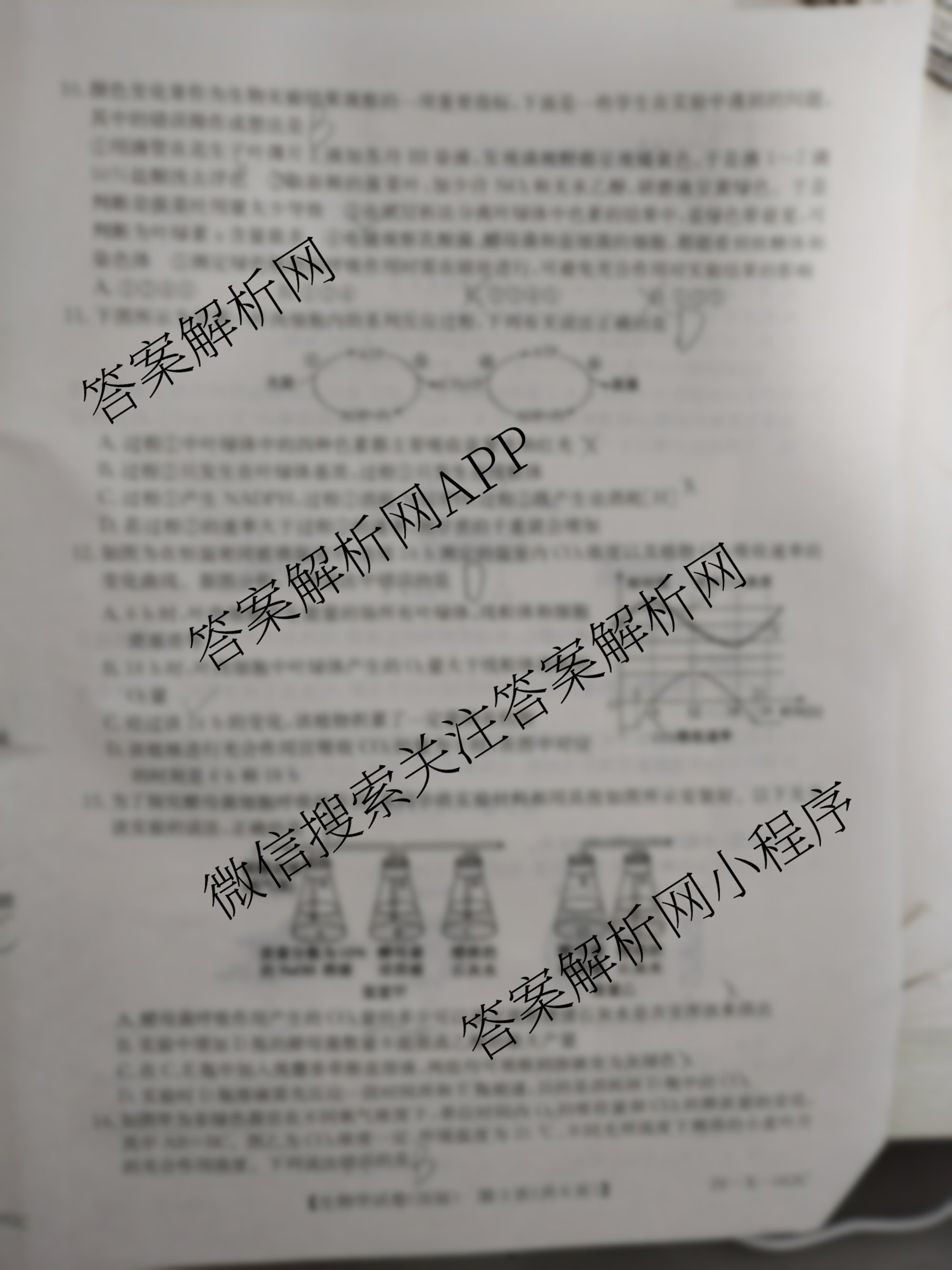 安徽省2025~2026学年度高三年级九月份月考(26-X-062C)（11科全）生物试题