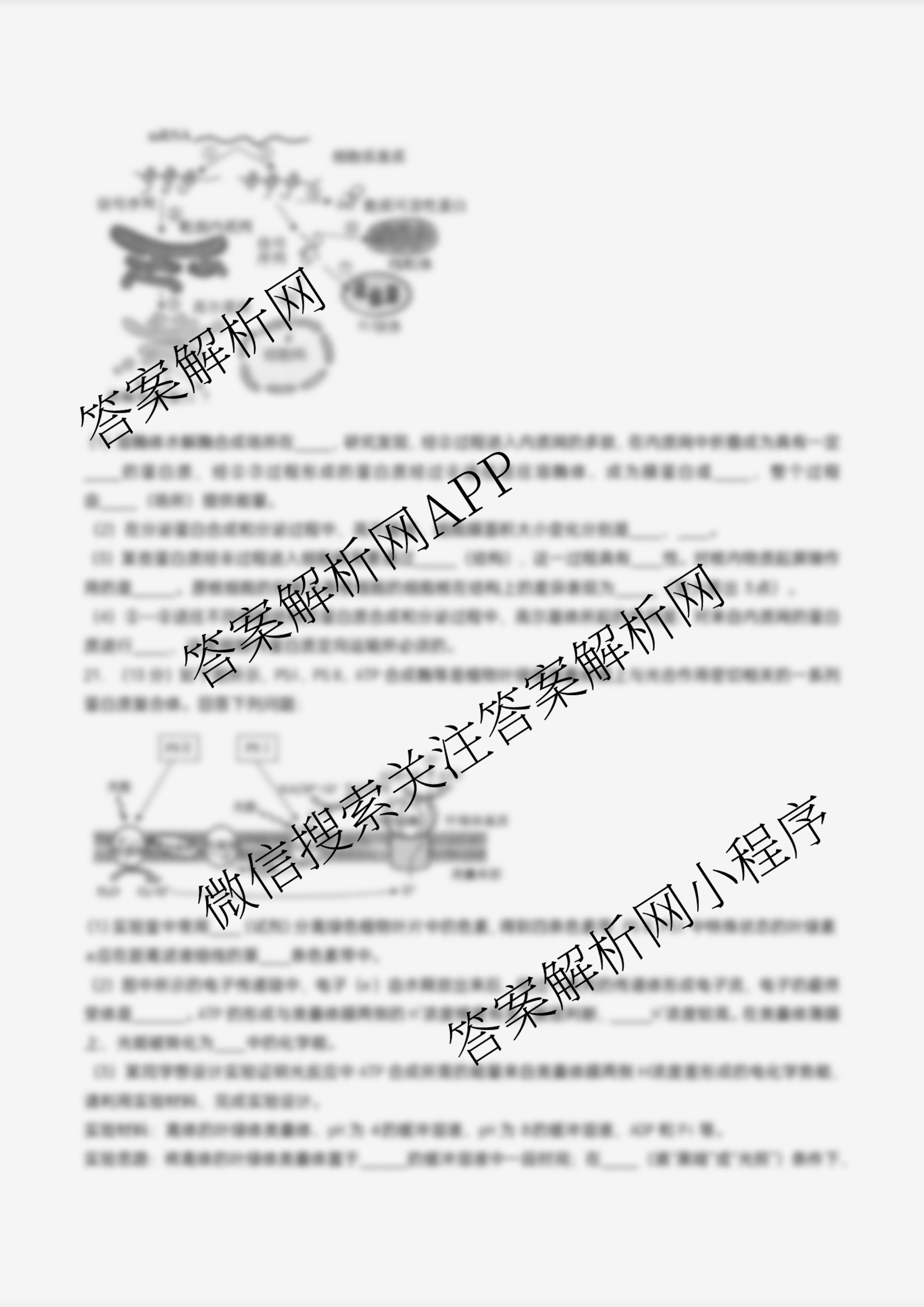 江苏省扬州市高邮市2025-2026学年第一学期高三10月学情调研测试2025.10试卷及答案汇总(含生物、地理、政治等9份)生物试题 江苏省扬州市高邮市2025-2026学年第一学期高三10月学情调研测试2025.10试卷及答案汇总(含生物、地理、政治等9份)生物试题