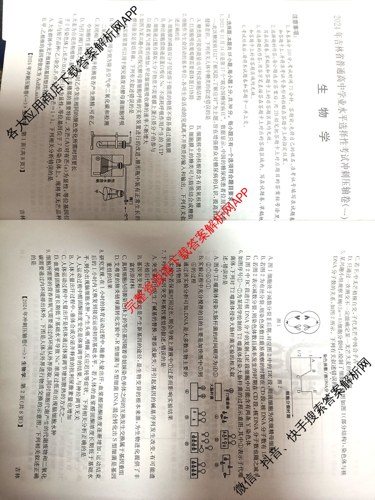 2024年吉林省普通高中学业水平选择性考试冲刺压轴卷(一)1生物(吉林)试题