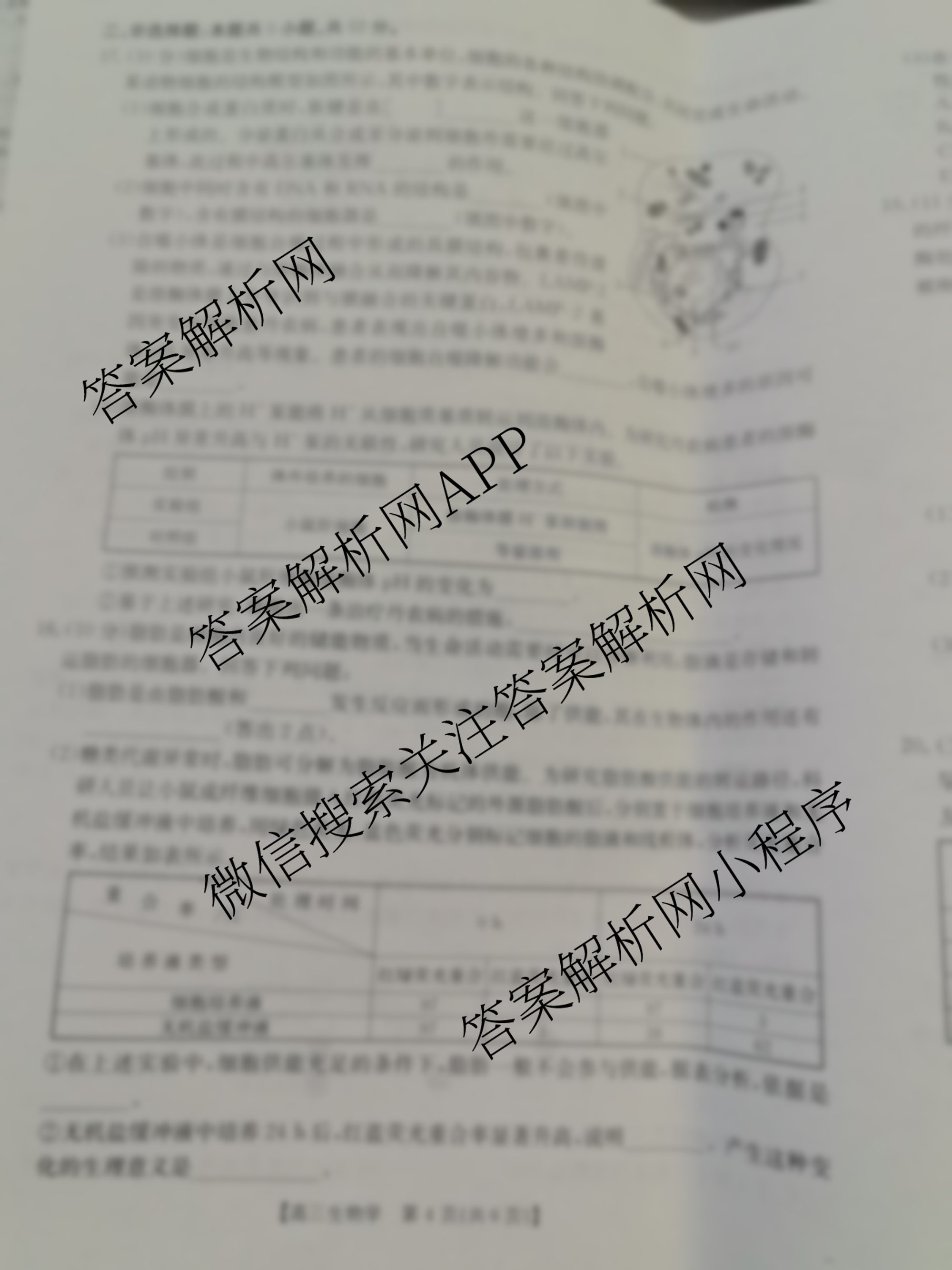 陕西2026届高三年级10月联考(10.30)试卷及答案汇总: 含数学 历史 物理试卷解析生物试题 陕西2026届高三年级10月联考(10.30)试卷及答案汇总: 含数学 历史 物理试卷解析生物试题