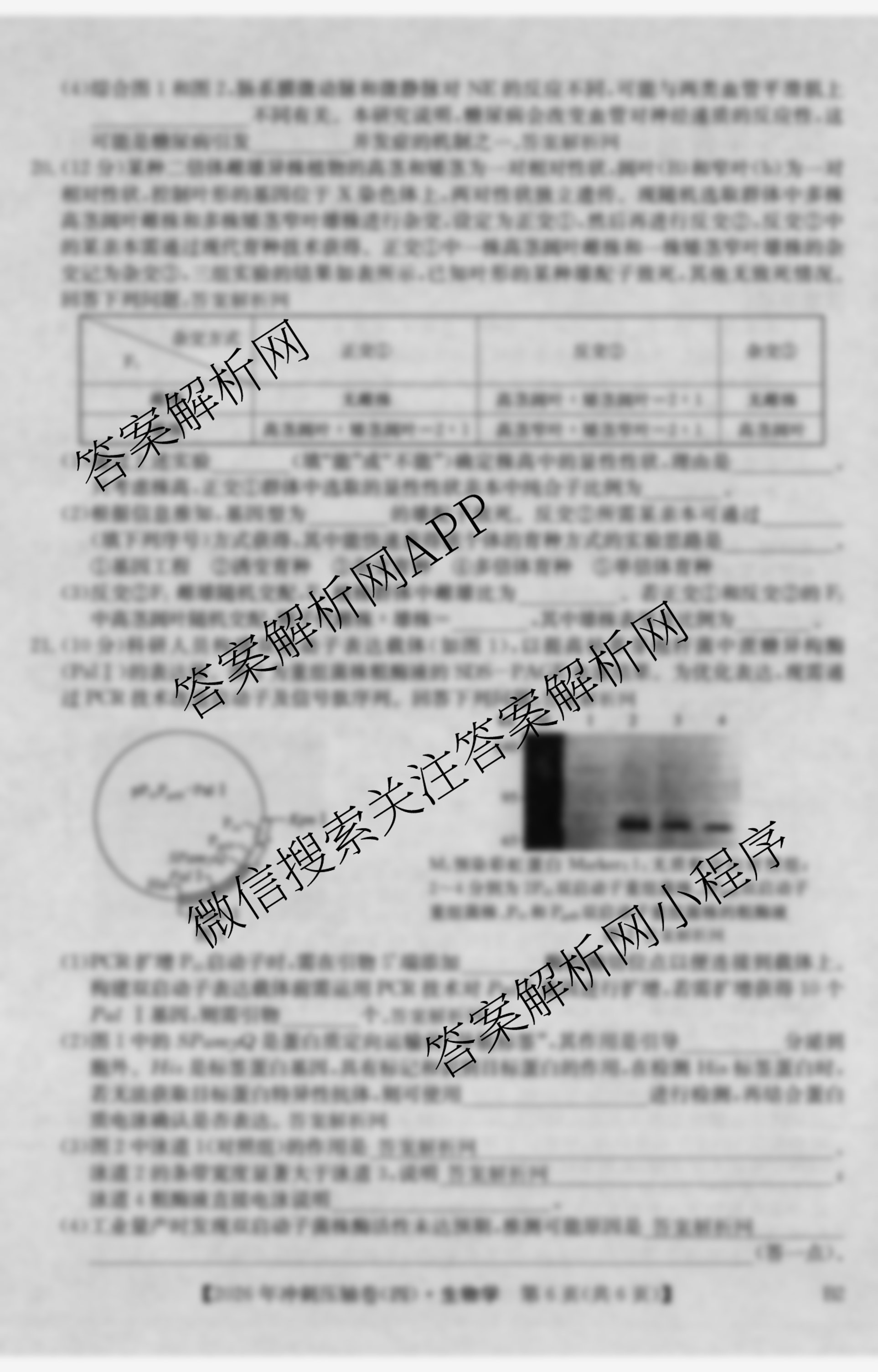 2026年全国高考冲刺压轴卷(四)4（含物理(AH) 数学 政治(湖北)等）生物试题